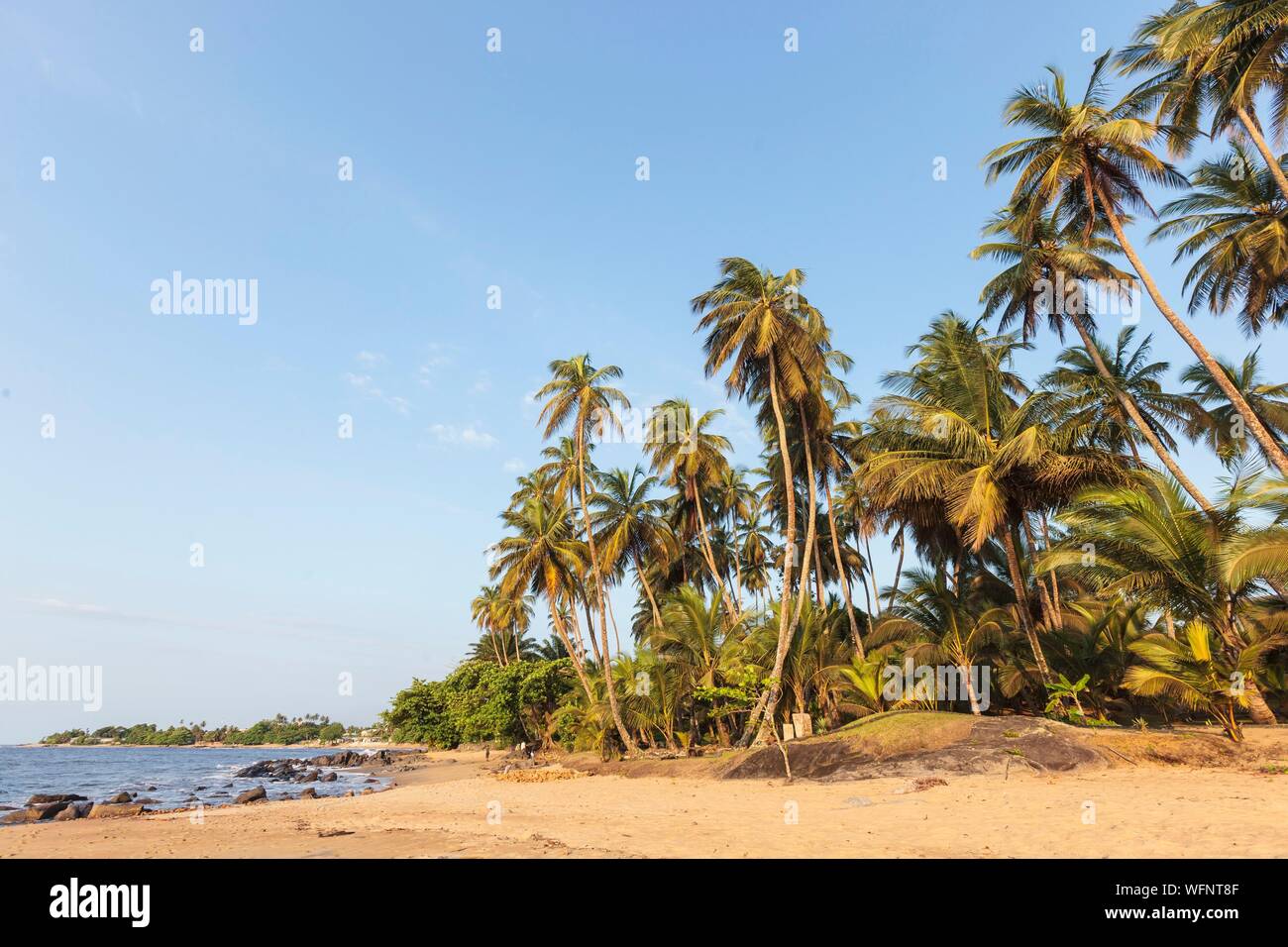 Cameroun, région Sud, Ministère de l'océan, Kribi, plage de sable fin et de palmiers au bord de la mer Banque D'Images