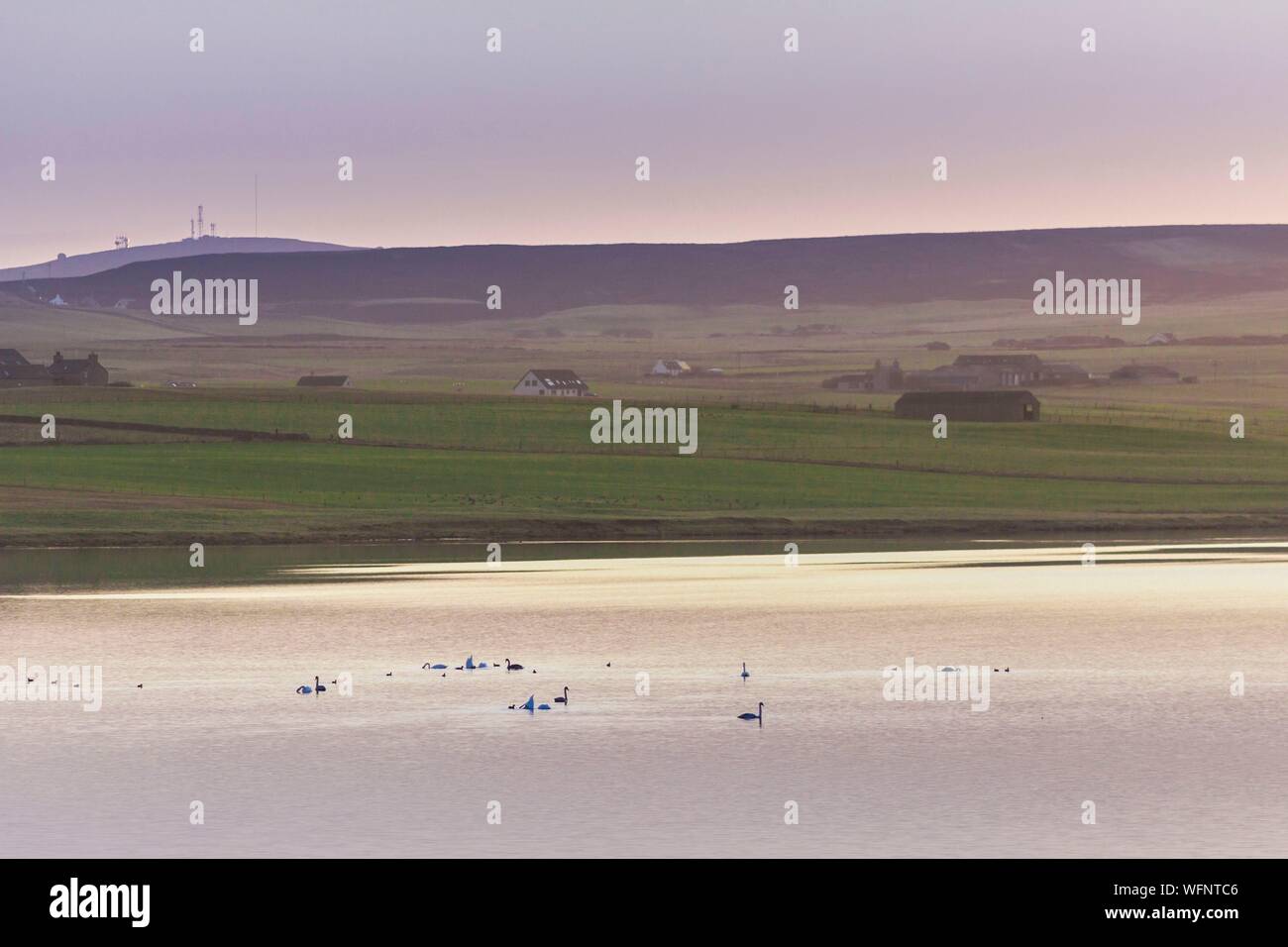 Royaume-uni, Ecosse, îles Orcades, Mainland, lever du soleil sur le Loch Harray de l'anneau de Shetlands, Coeur néolithique des Orcades, inscrite au Patrimoine Mondial de l'UNESCO Banque D'Images