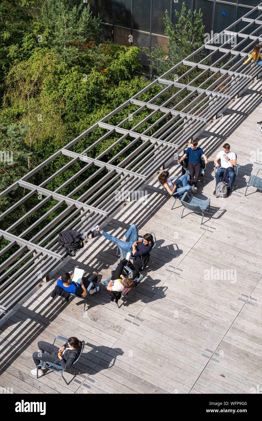 France, Paris, Paris Rive Gauche, François Mitterrand de la Bibliothèque Nationale de France (BNF) Banque D'Images