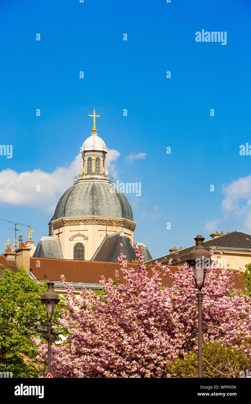 France, Paris, le quartier de Saint Germain des Prés, les fleurs de cerisier en face de l'Institut de France Banque D'Images