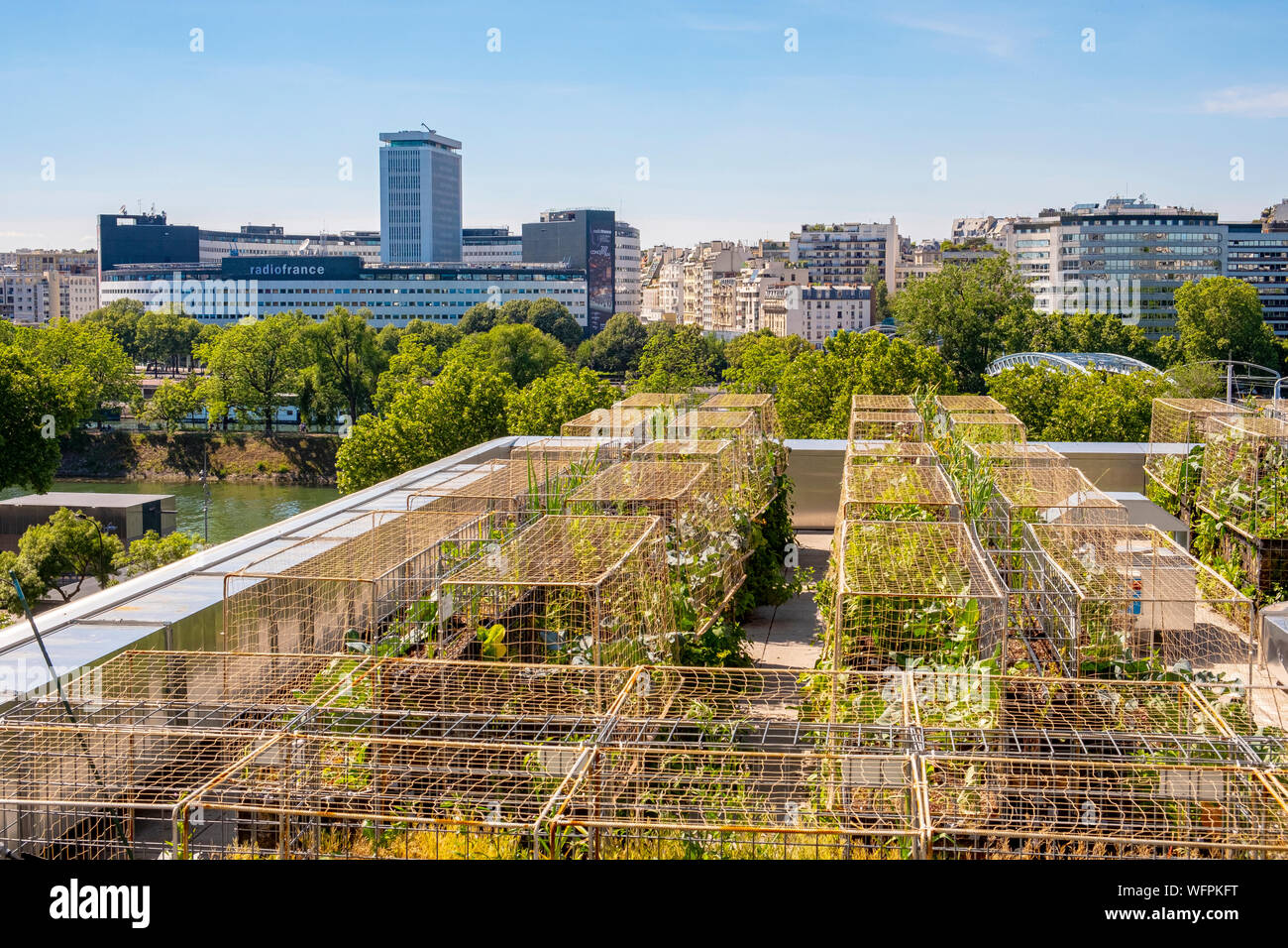 France, Paris, les agriculteurs urbains Pois et l'amour, un nouveau concept de jardin cuisine sur le toit des bâtiments, ici sur l'hôtel Yooma du Front de Seine Banque D'Images