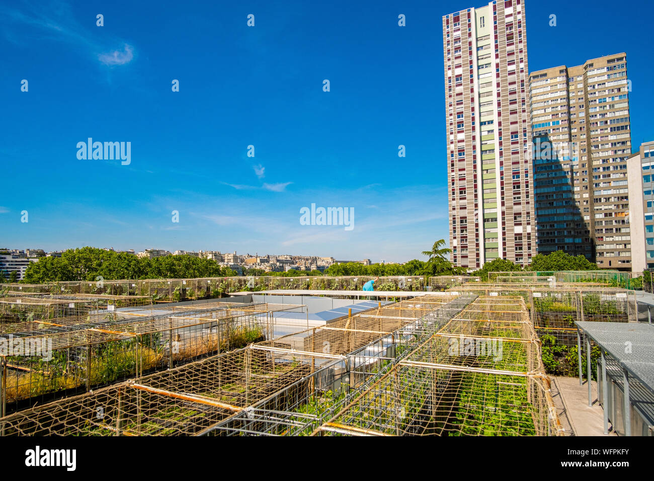 France, Paris, les agriculteurs urbains Pois et l'amour, un nouveau concept de jardin cuisine sur le toit des bâtiments, ici sur l'hôtel Yooma du Front de Seine Banque D'Images