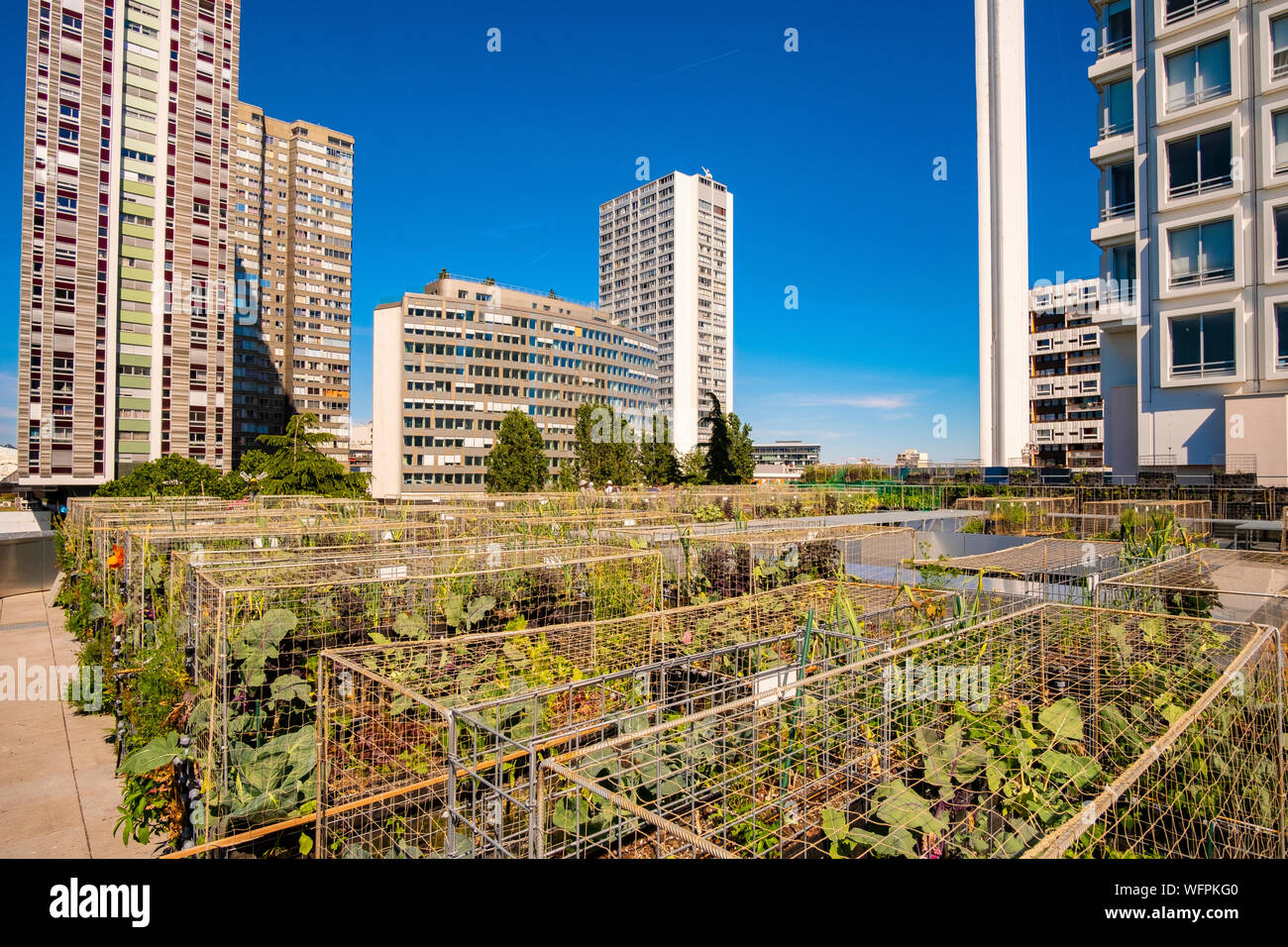 France, Paris, les agriculteurs urbains Pois et l'amour, un nouveau concept de jardin cuisine sur le toit des bâtiments, ici sur l'hôtel Yooma du Front de Seine Banque D'Images
