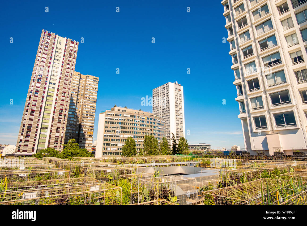 France, Paris, les agriculteurs urbains Pois et l'amour, un nouveau concept de jardin cuisine sur le toit des bâtiments, ici sur l'hôtel Yooma du Front de Seine Banque D'Images