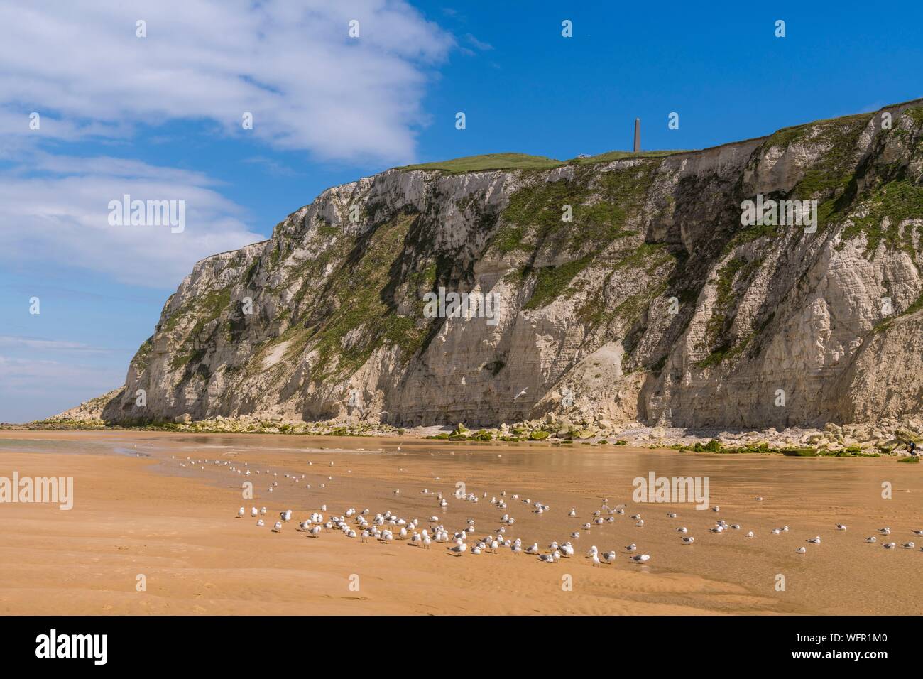 la-france-pas-de-calais-c-te-d-opale-grand-site-des-deux-caps