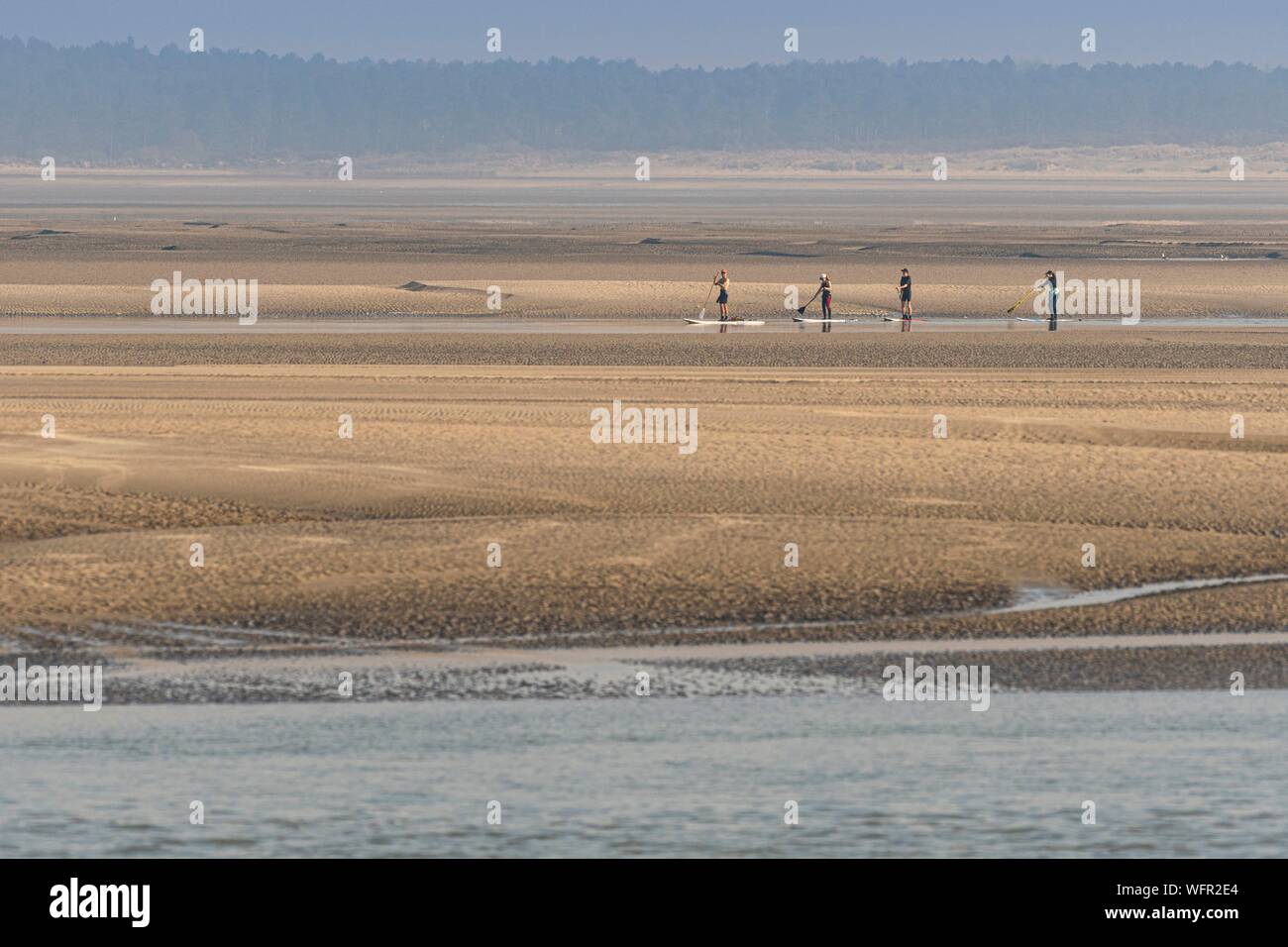 France, Picardie, Baie de Somme, Le Crotoy, indonésien et canots canoë kayak durant la marée haute, les bateaux sont à attendre que le flux et le mascaret à l'entrée de la baie et puis allez jusqu'a aidé par le fort courant, parfois accompagnés par les joints, certains ne leur bateau sur les bancs d'observer les oiseaux délogée par la marée Banque D'Images