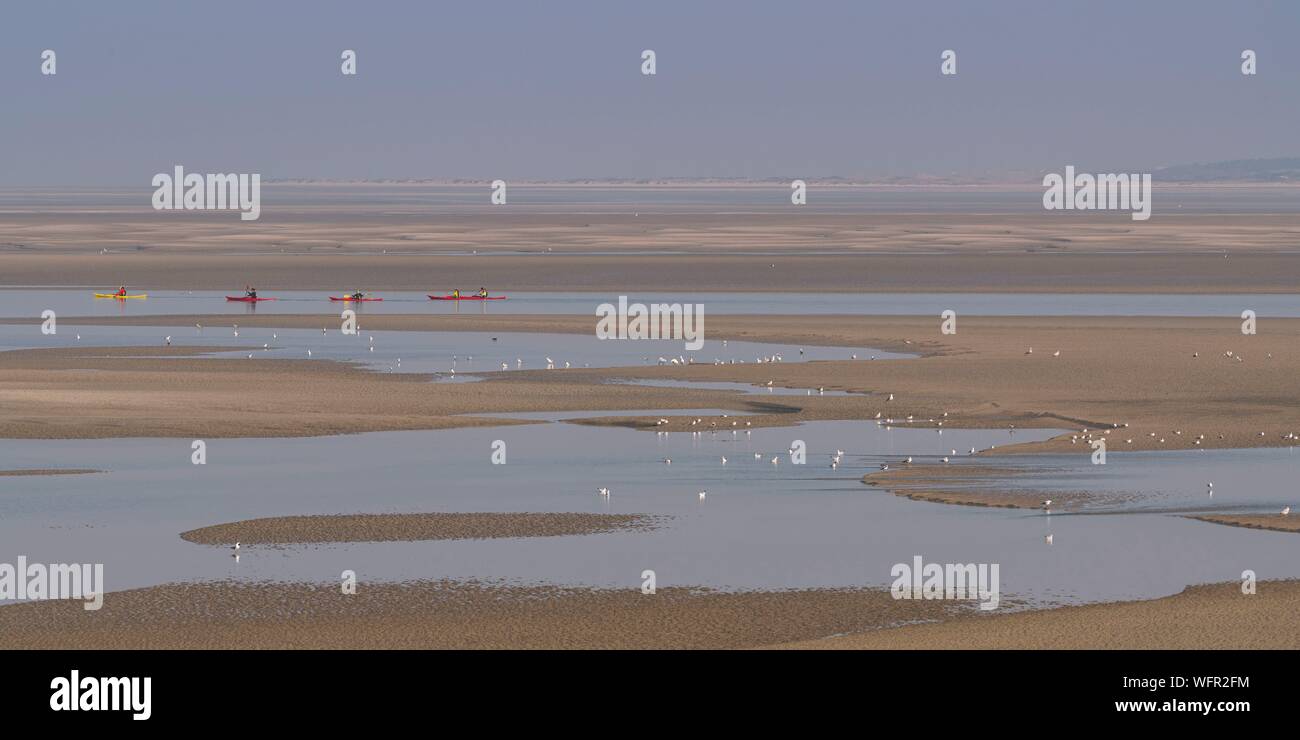 France, Picardie, Baie de Somme, Le Crotoy, indonésien et canots canoë kayak durant la marée haute, les bateaux sont à attendre que le flux et le mascaret à l'entrée de la baie et puis allez jusqu'a aidé par le fort courant, parfois accompagnés par les joints, certains ne leur bateau sur les bancs d'observer les oiseaux délogée par la marée Banque D'Images