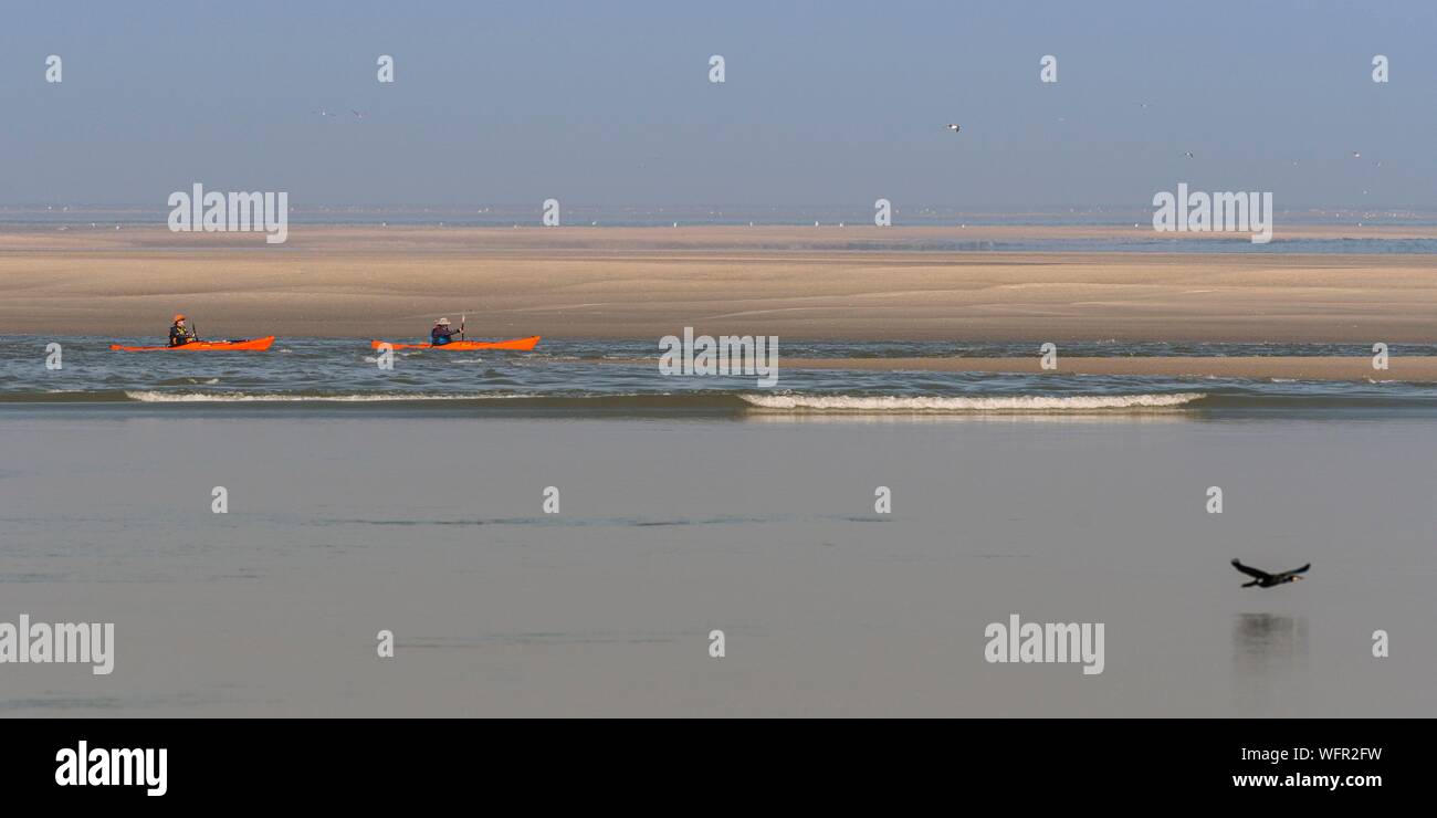 France, Picardie, Baie de Somme, Le Crotoy, indonésien et canots canoë kayak durant la marée haute, les bateaux sont à attendre que le flux et le mascaret à l'entrée de la baie et puis allez jusqu'a aidé par le fort courant, parfois accompagnés par les joints, certains ne leur bateau sur les bancs d'observer les oiseaux délogée par la marée Banque D'Images