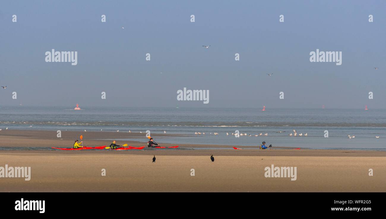 France, Picardie, Baie de Somme, Le Crotoy, indonésien et canots canoë kayak durant la marée haute, les bateaux sont à attendre que le flux et le mascaret à l'entrée de la baie et puis allez jusqu'a aidé par le fort courant, parfois accompagnés par les joints, certains ne leur bateau sur les bancs d'observer les oiseaux délogée par la marée Banque D'Images