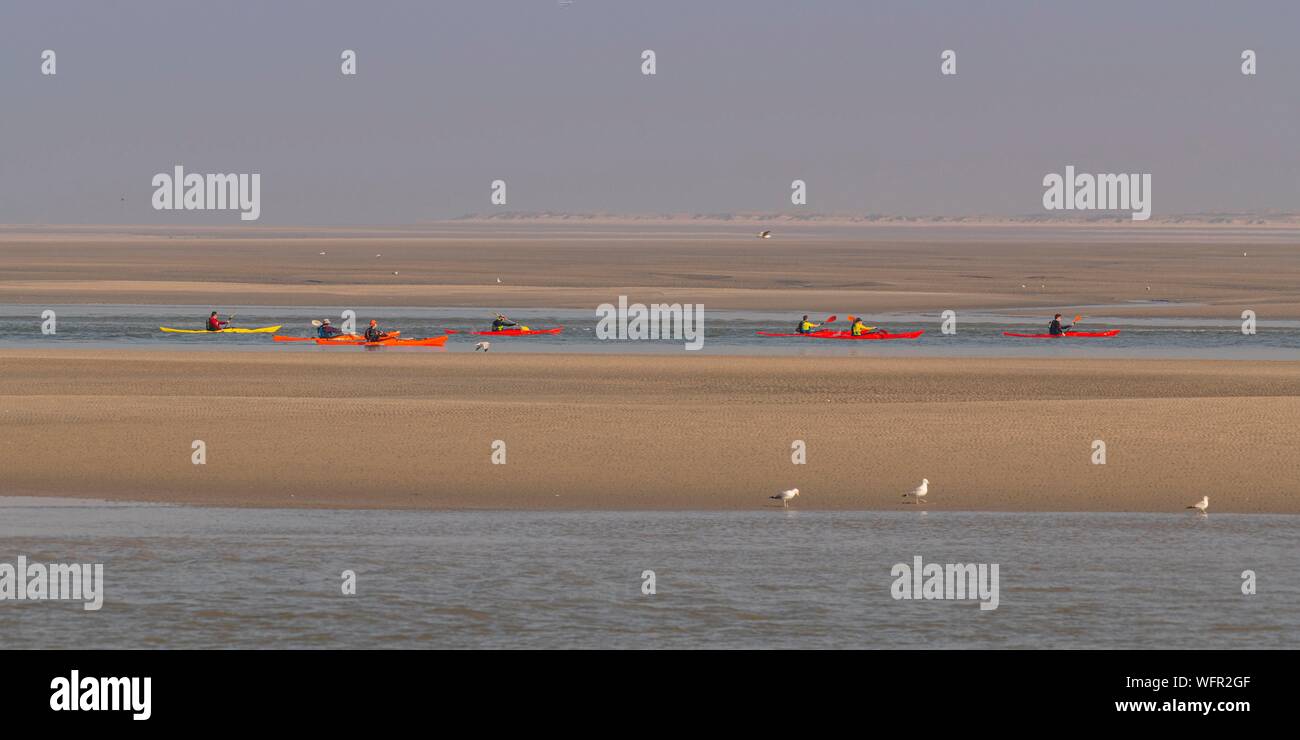 France, Picardie, Baie de Somme, Le Crotoy, indonésien et canots canoë kayak durant la marée haute, les bateaux sont à attendre que le flux et le mascaret à l'entrée de la baie et puis allez jusqu'a aidé par le fort courant, parfois accompagnés par les joints, certains ne leur bateau sur les bancs d'observer les oiseaux délogée par la marée Banque D'Images