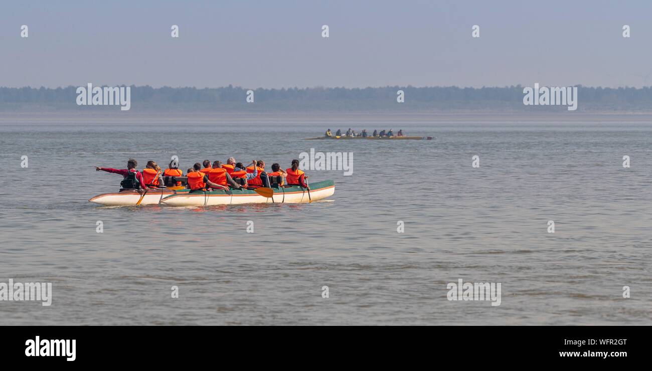 France, Picardie, Baie de Somme, Le Crotoy, indonésien et canots canoë kayak durant la marée haute, les bateaux sont à attendre que le flux et le mascaret à l'entrée de la baie et puis allez jusqu'a aidé par le fort courant, parfois accompagnés par les joints, certains ne leur bateau sur les bancs d'observer les oiseaux délogée par la marée Banque D'Images