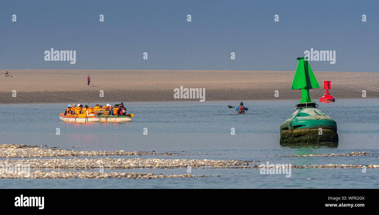 France, Picardie, Baie de Somme, Le Crotoy, indonésien et canots canoë kayak durant la marée haute, les bateaux sont à attendre que le flux et le mascaret à l'entrée de la baie et puis allez jusqu'a aidé par le fort courant, parfois accompagnés par les joints, certains ne leur bateau sur les bancs d'observer les oiseaux délogée par la marée Banque D'Images