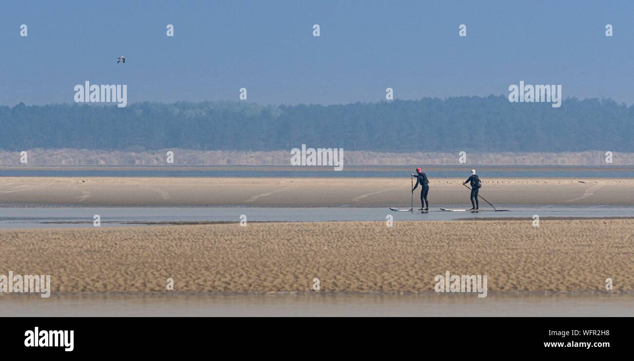 France, Picardie, Baie de Somme, Le Crotoy, indonésien et canots canoë kayak durant la marée haute, les bateaux sont à attendre que le flux et le mascaret à l'entrée de la baie et puis allez jusqu'a aidé par le fort courant, parfois accompagnés par les joints, certains ne leur bateau sur les bancs d'observer les oiseaux délogée par la marée Banque D'Images