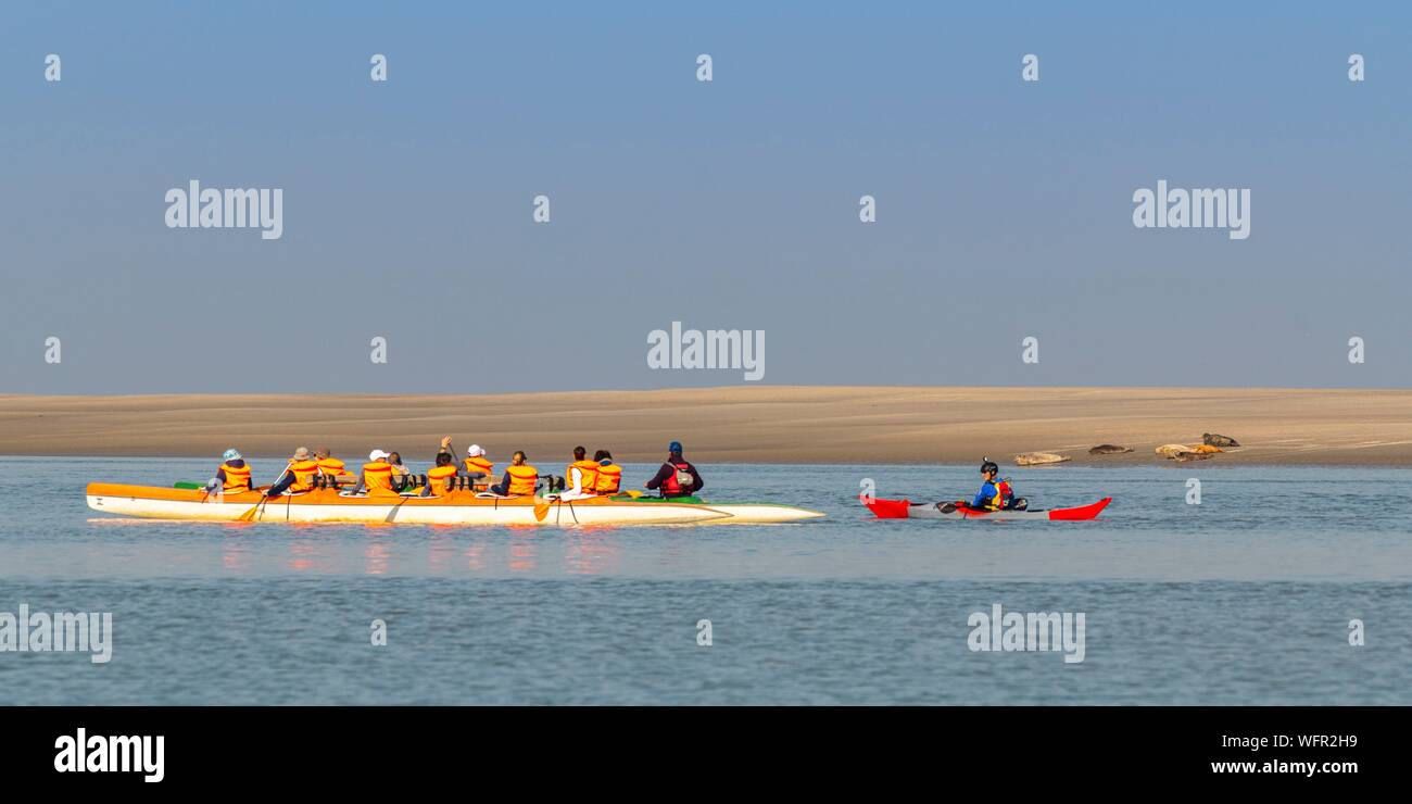 France, Picardie, Baie de Somme, Le Crotoy, indonésien et canots canoë kayak durant la marée haute, les bateaux sont à attendre que le flux et le mascaret à l'entrée de la baie et puis allez jusqu'a aidé par le fort courant, parfois accompagnés par les joints, certains ne leur bateau sur les bancs d'observer les oiseaux délogée par la marée Banque D'Images