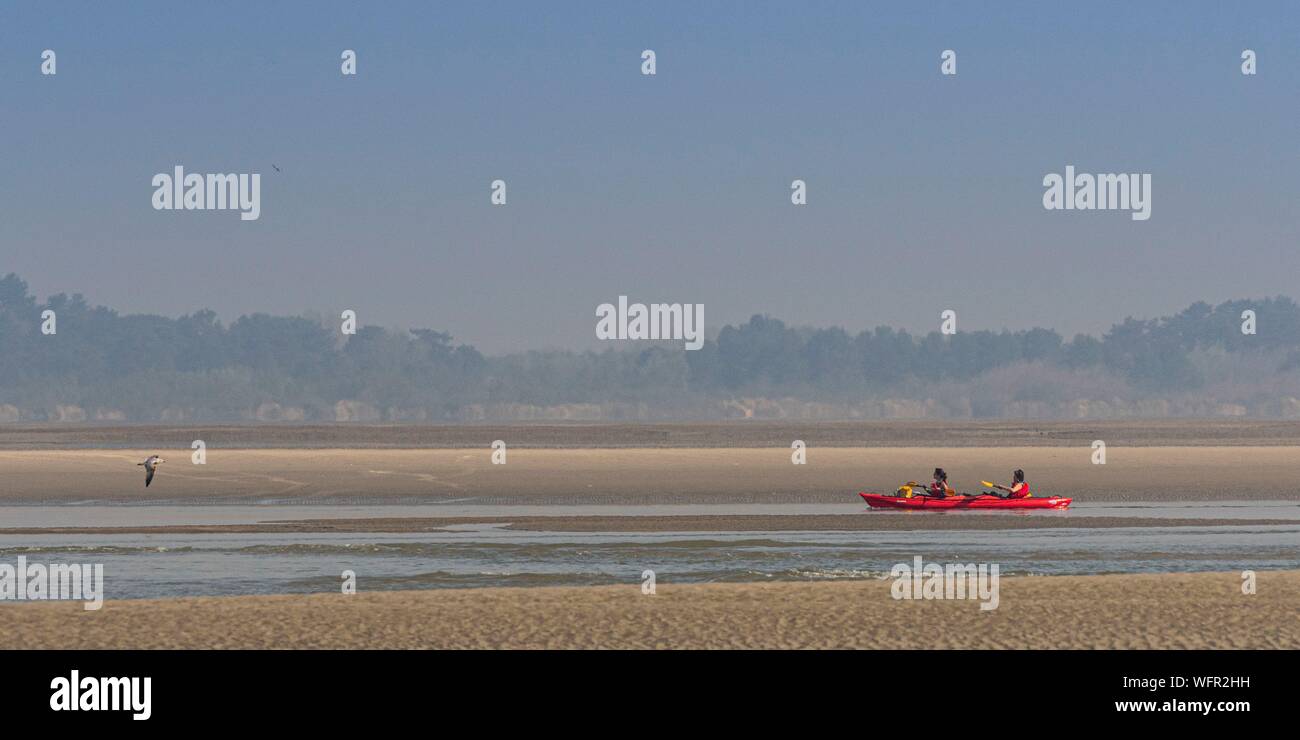 France, Picardie, Baie de Somme, Le Crotoy, indonésien et canots canoë kayak durant la marée haute, les bateaux sont à attendre que le flux et le mascaret à l'entrée de la baie et puis allez jusqu'a aidé par le fort courant, parfois accompagnés par les joints, certains ne leur bateau sur les bancs d'observer les oiseaux délogée par la marée Banque D'Images