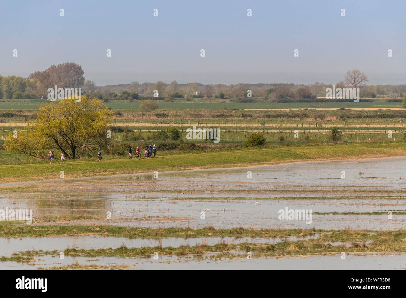 France, Picardie, Baie de Somme, Saint Valery sur Somme, Le Cap Hornu, marée haute, la mer envahit les prés et les cabanes de chasse retour, les oiseaux (aigrettes, spatules, ...) viennent à attraper les poissons qui sont pris au piège dans les étangs, alors que les marcheurs profitent du spectacle Banque D'Images
