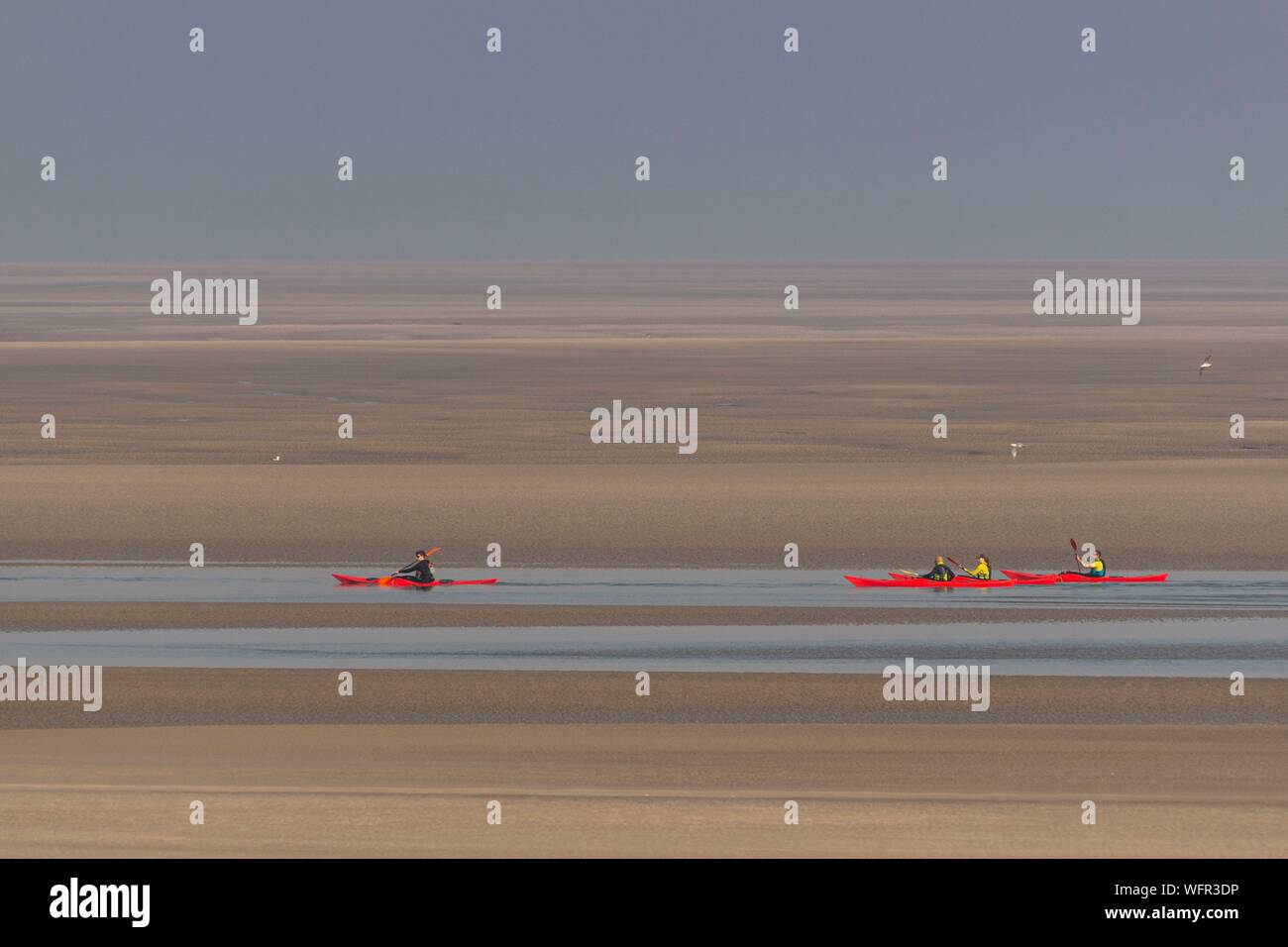 France, Picardie, Baie de Somme, Le Crotoy, indonésien et canots canoë kayak durant la marée haute, les bateaux sont à attendre que le flux et le mascaret à l'entrée de la baie et puis allez jusqu'a aidé par le fort courant, parfois accompagnés par les joints, certains ne leur bateau sur les bancs d'observer les oiseaux délogée par la marée Banque D'Images