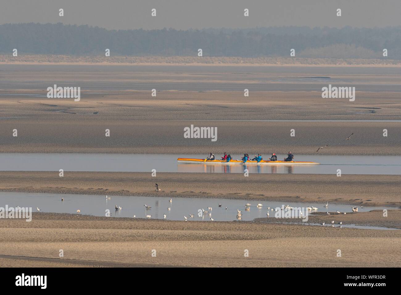 France, Picardie, Baie de Somme, Le Crotoy, indonésien et canots canoë kayak durant la marée haute, les bateaux sont à attendre que le flux et le mascaret à l'entrée de la baie et puis allez jusqu'a aidé par le fort courant, parfois accompagnés par les joints, certains ne leur bateau sur les bancs d'observer les oiseaux délogée par la marée Banque D'Images