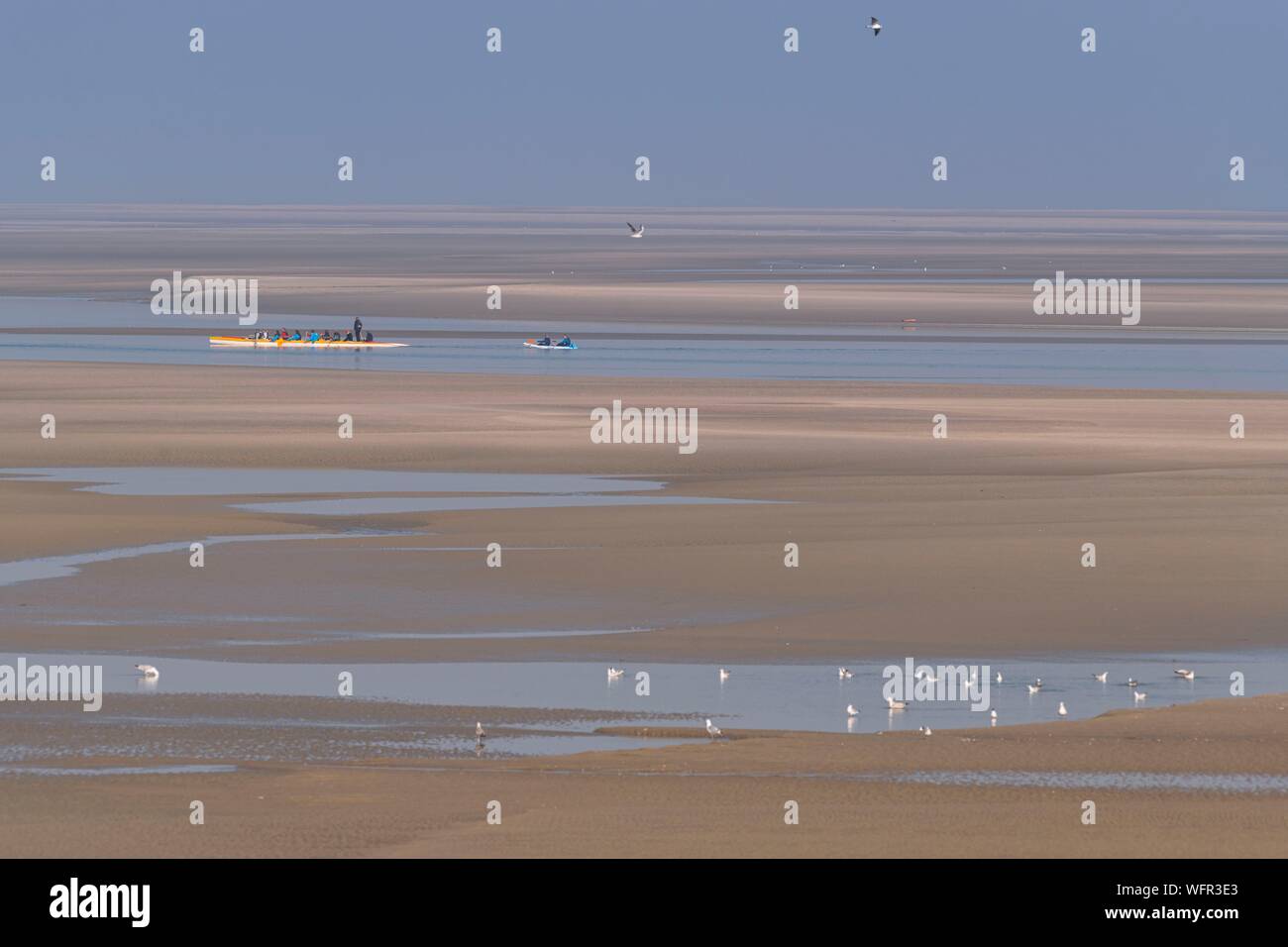 France, Picardie, Baie de Somme, Le Crotoy, indonésien et canots canoë kayak durant la marée haute, les bateaux sont à attendre que le flux et le mascaret à l'entrée de la baie et puis allez jusqu'a aidé par le fort courant, parfois accompagnés par les joints, certains ne leur bateau sur les bancs d'observer les oiseaux délogée par la marée Banque D'Images