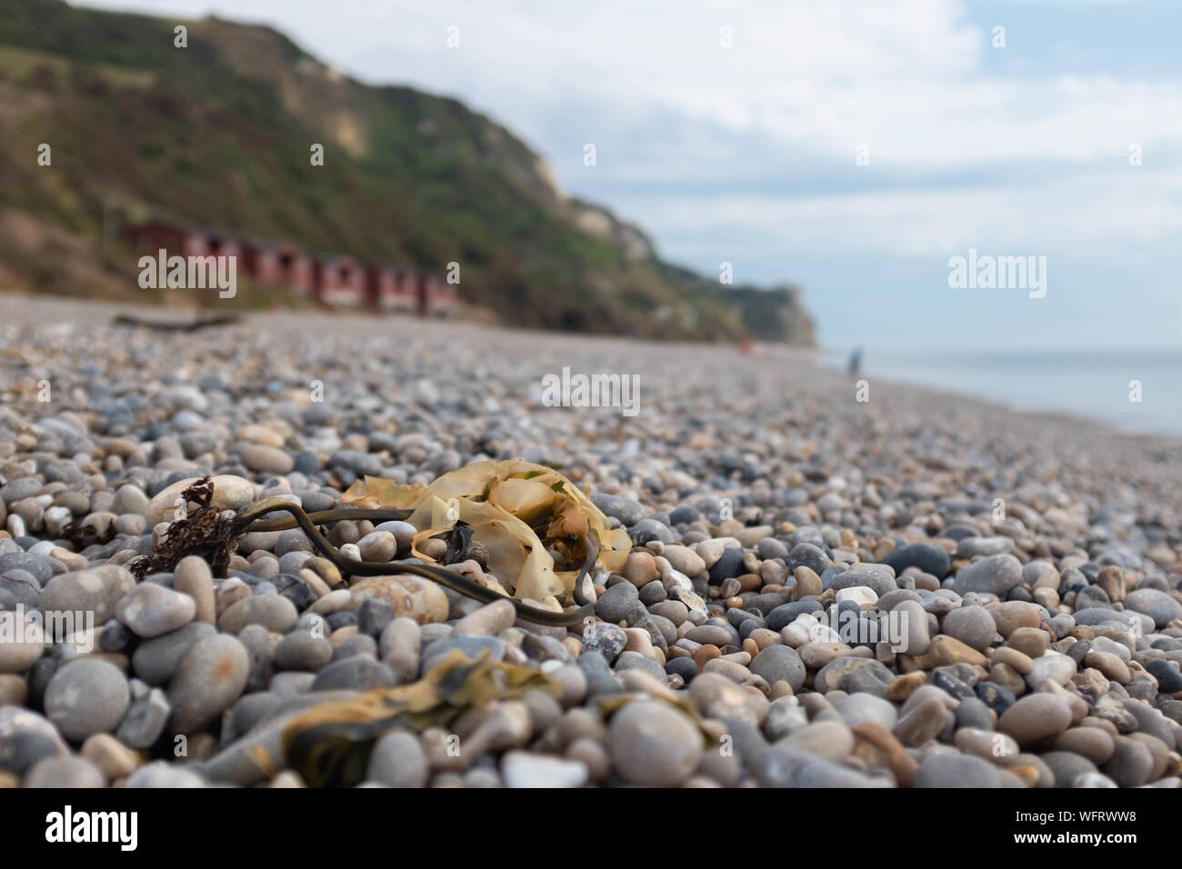 La plage de Branscombe, Devon, UK Banque D'Images