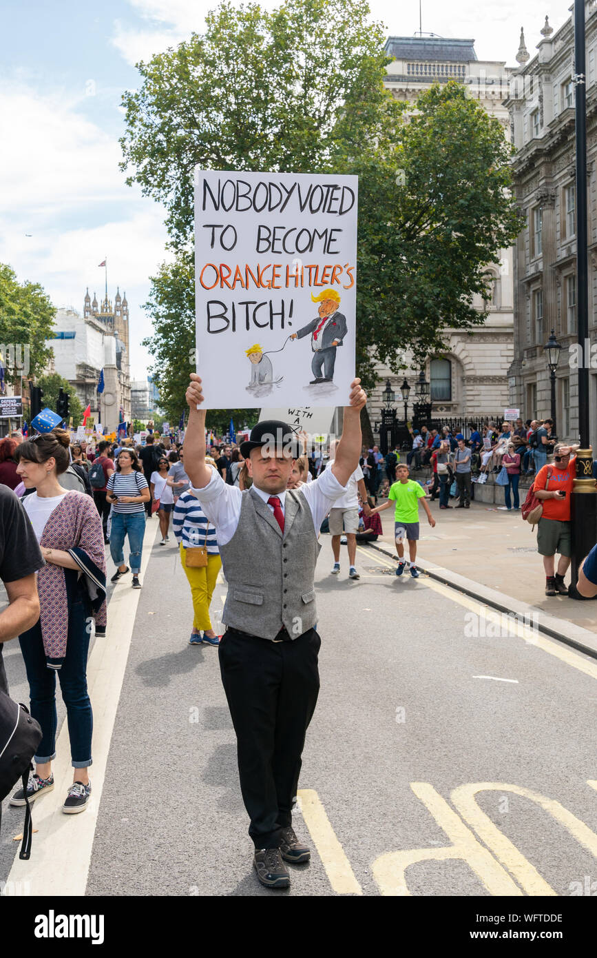 31 août 2019 - London, UK. Un Anti-Brexit protestataire est titulaire d'une bannière à l'extérieur, Downing Street à Whitehall. Banque D'Images