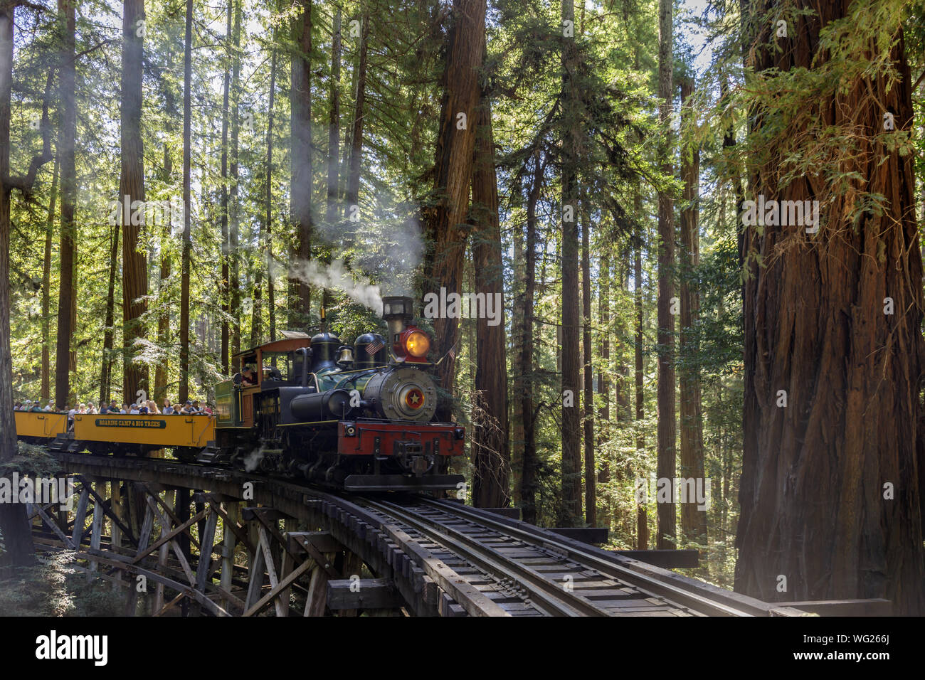 Felton, Californie - 31 août 2019 : Le Roaring camp' Dixiana Shay sur Train à vapeur Trestle Crossing Séquoias dans Santa Cruz Mountains. Banque D'Images