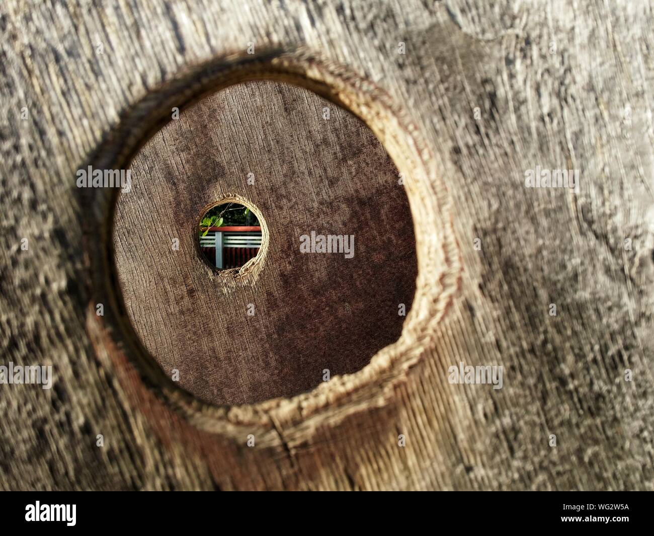 Close-up de tenir sur le bois Banque D'Images