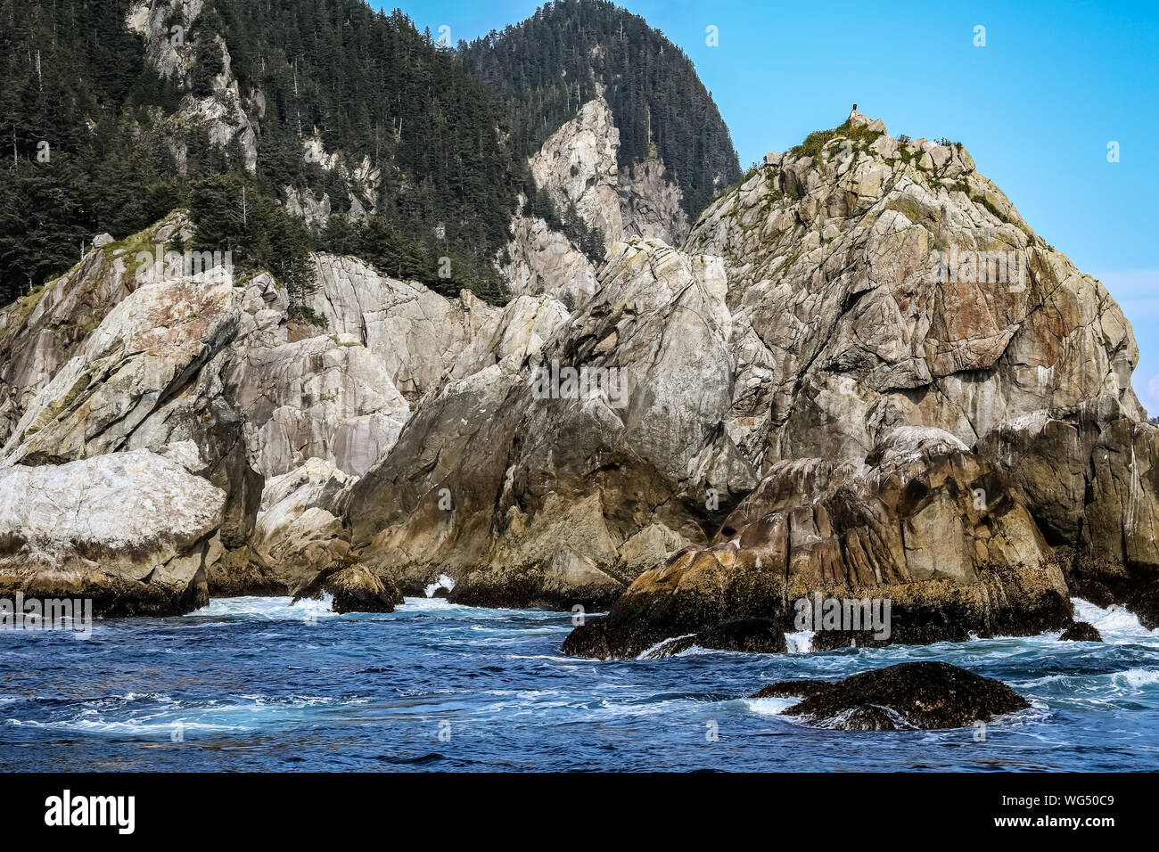 Paysage côtier avec le Pygargue à tête blanche au sommet des falaises, Kenai Fjords National Park, Alaska Banque D'Images