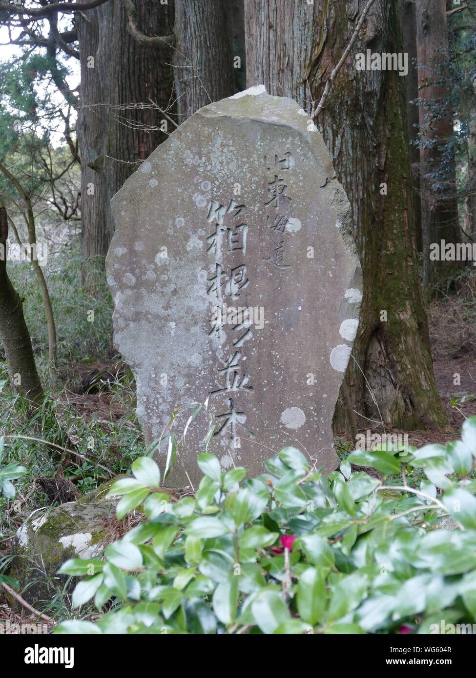 Vieille enseigne sur la façon Tokkaido, Japon Banque D'Images