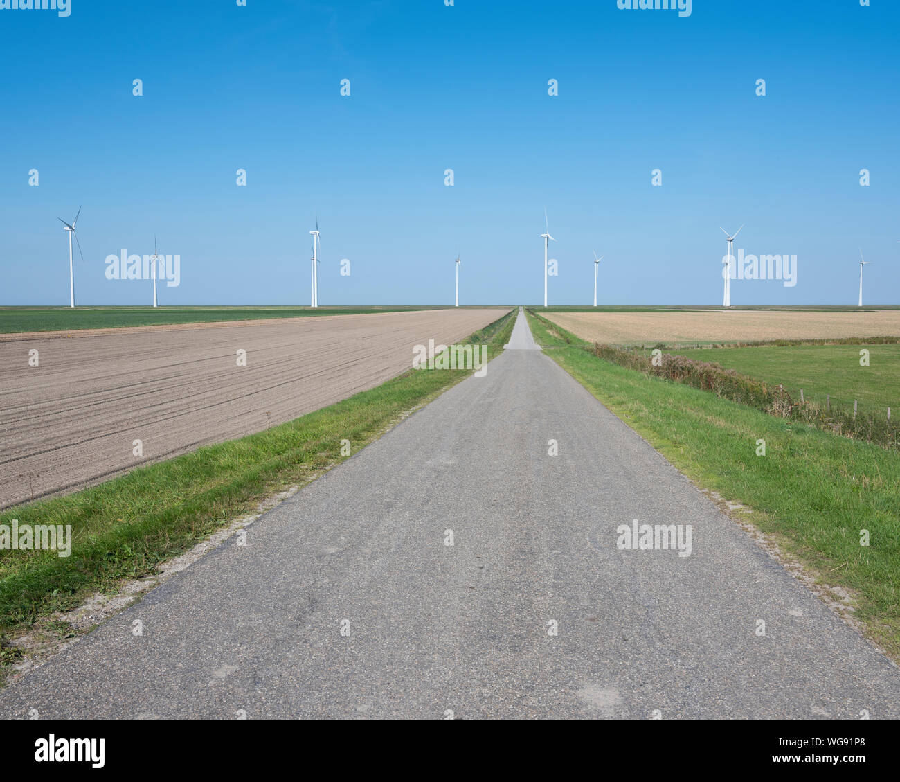 Éoliennes et ciel bleu dans le nord de la province néerlandaise de Groningue près d'Eemshaven Banque D'Images