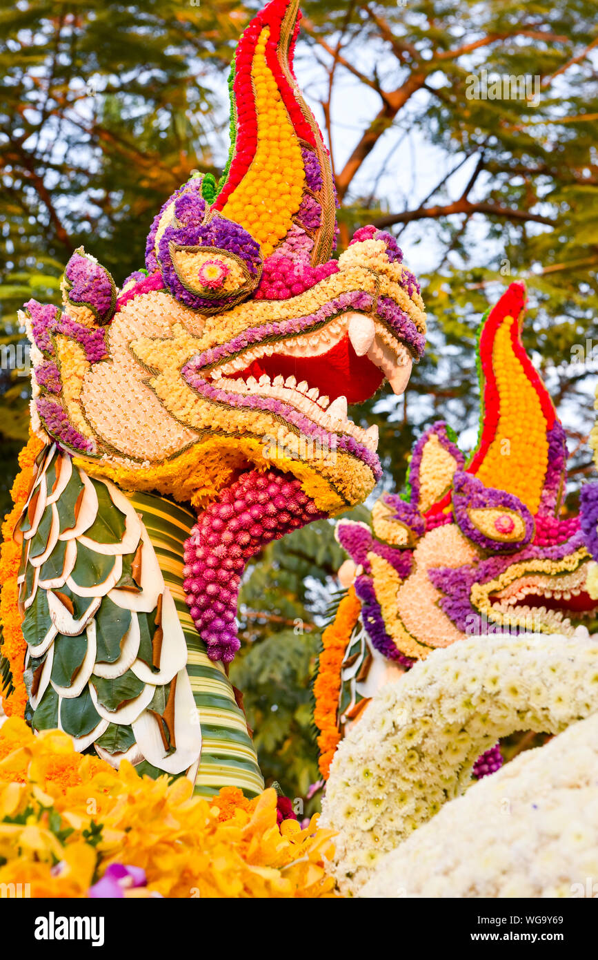 Chiang Mai Festival des fleurs Banque D'Images
