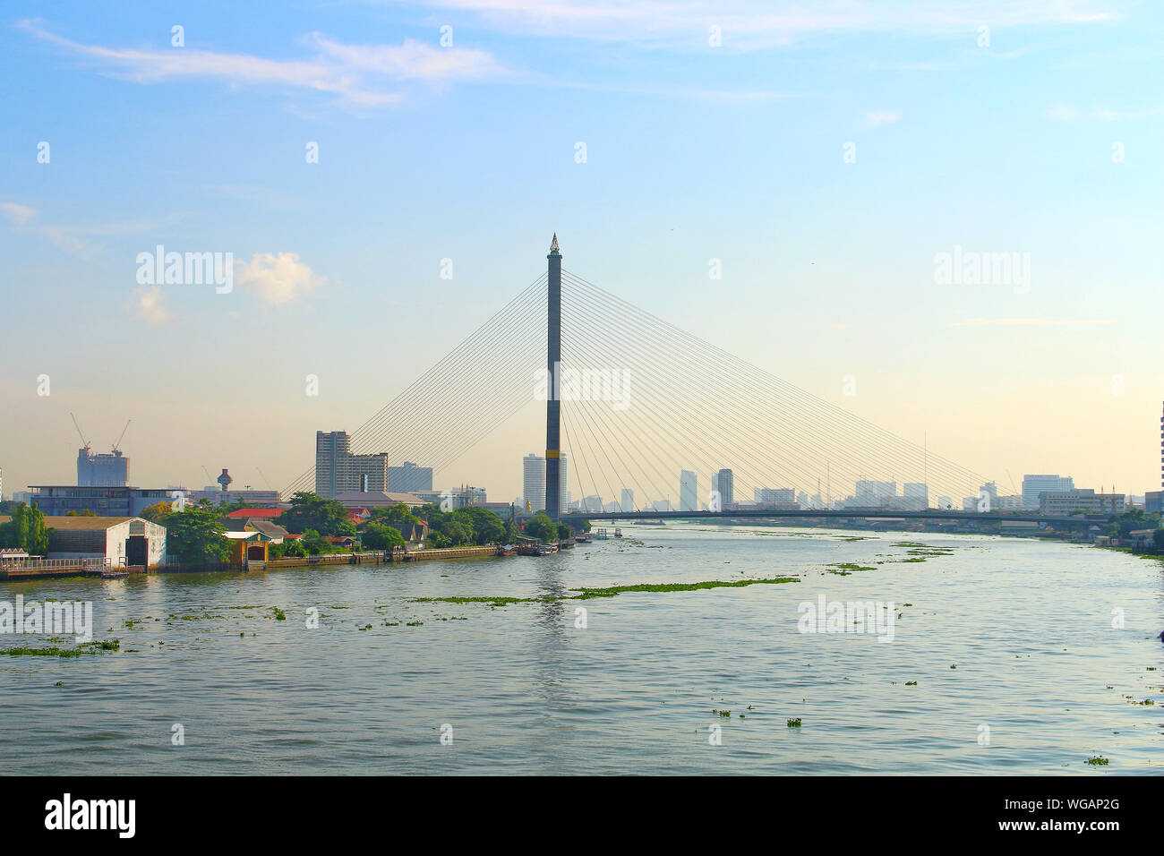 Paysage Vue sur la ville de Rama 8 Pont sur la rivière Chao Phraya avec léger le matin. Banque D'Images