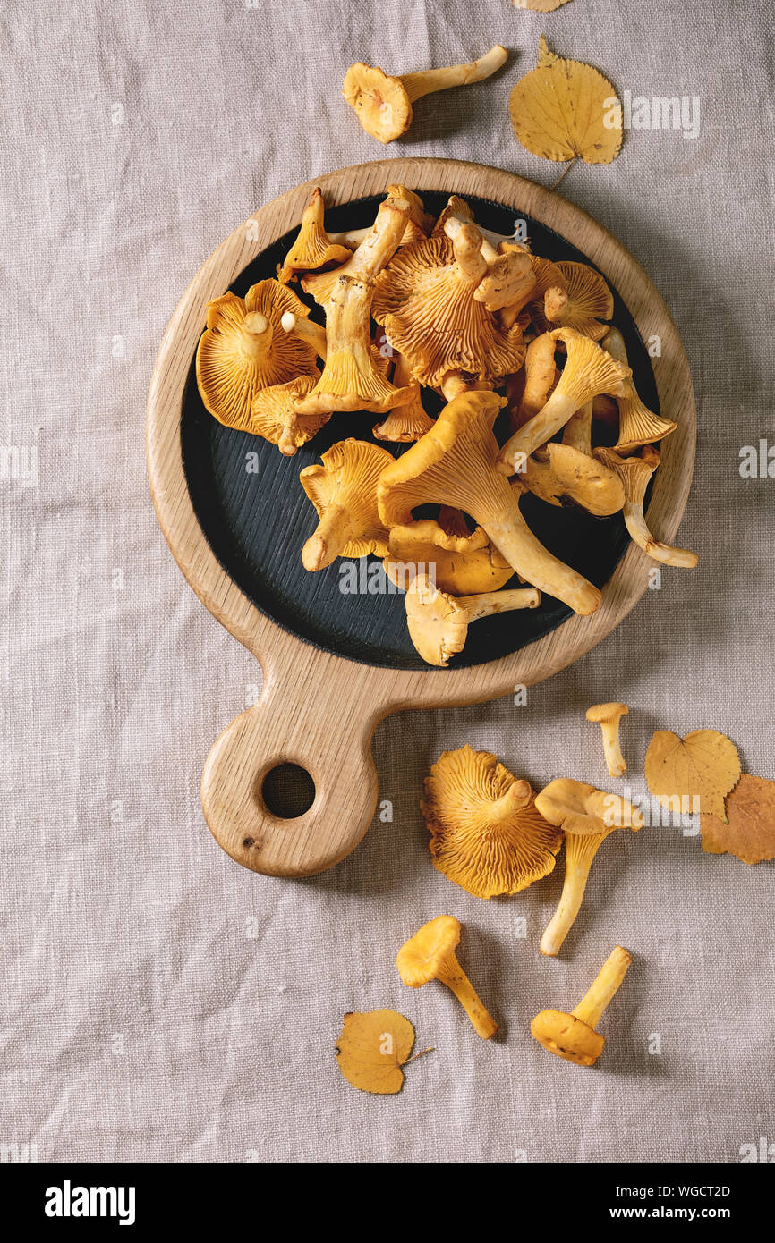 Chanterelles forêt, non cuits, crus sur planche à découper en bois avec plus de feuilles d'automne jaune nappe gris en arrière-plan. Mise à plat, d'un spa Banque D'Images