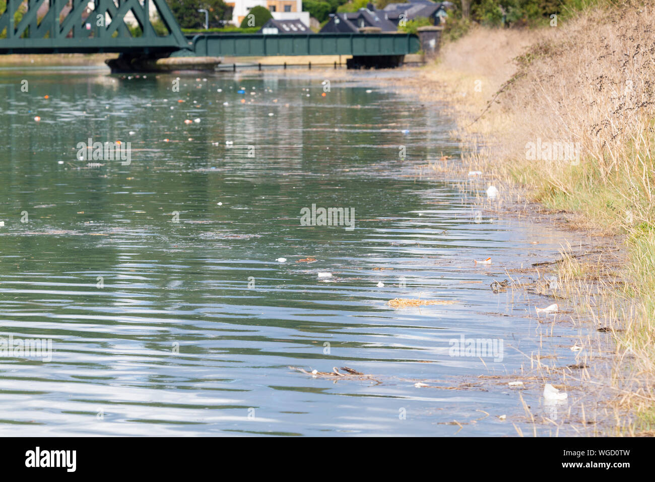 Les plastiques flottants à marée haute sur la rivière Rother, rye, East Sussex, UK Banque D'Images