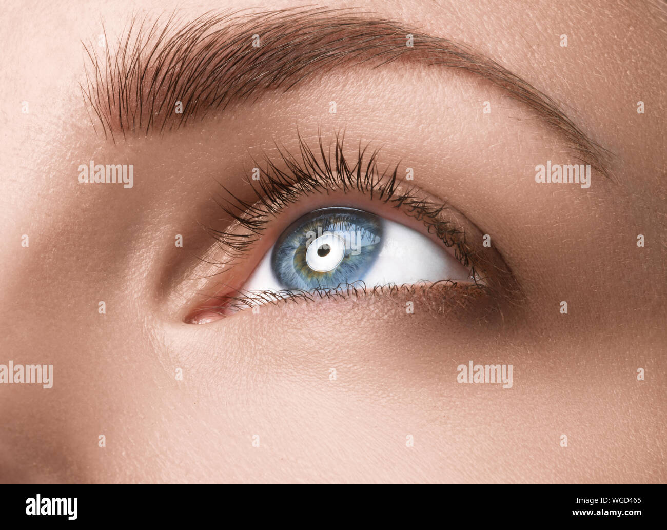 Close up avec le maquillage des yeux bleu à la recherche sur le côté, macro shot avec la peau parfaite Banque D'Images