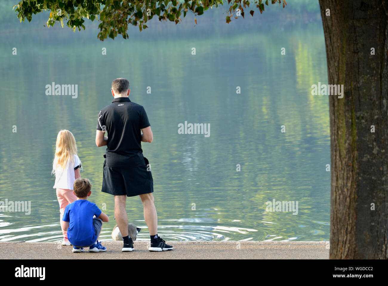 Jeune famille nourrir les oiseaux sur le lac Serpentine, à Hyde Park, Londres, Royaume-Uni Banque D'Images
