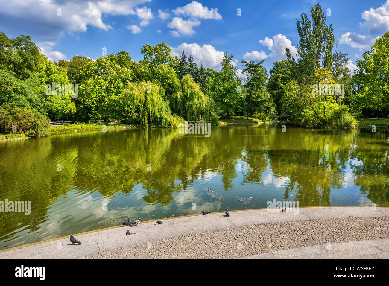 Lake dans le parc Ujazdow (Polonais : Park Château Ujazdowski) dans ville de Varsovie en Pologne Banque D'Images