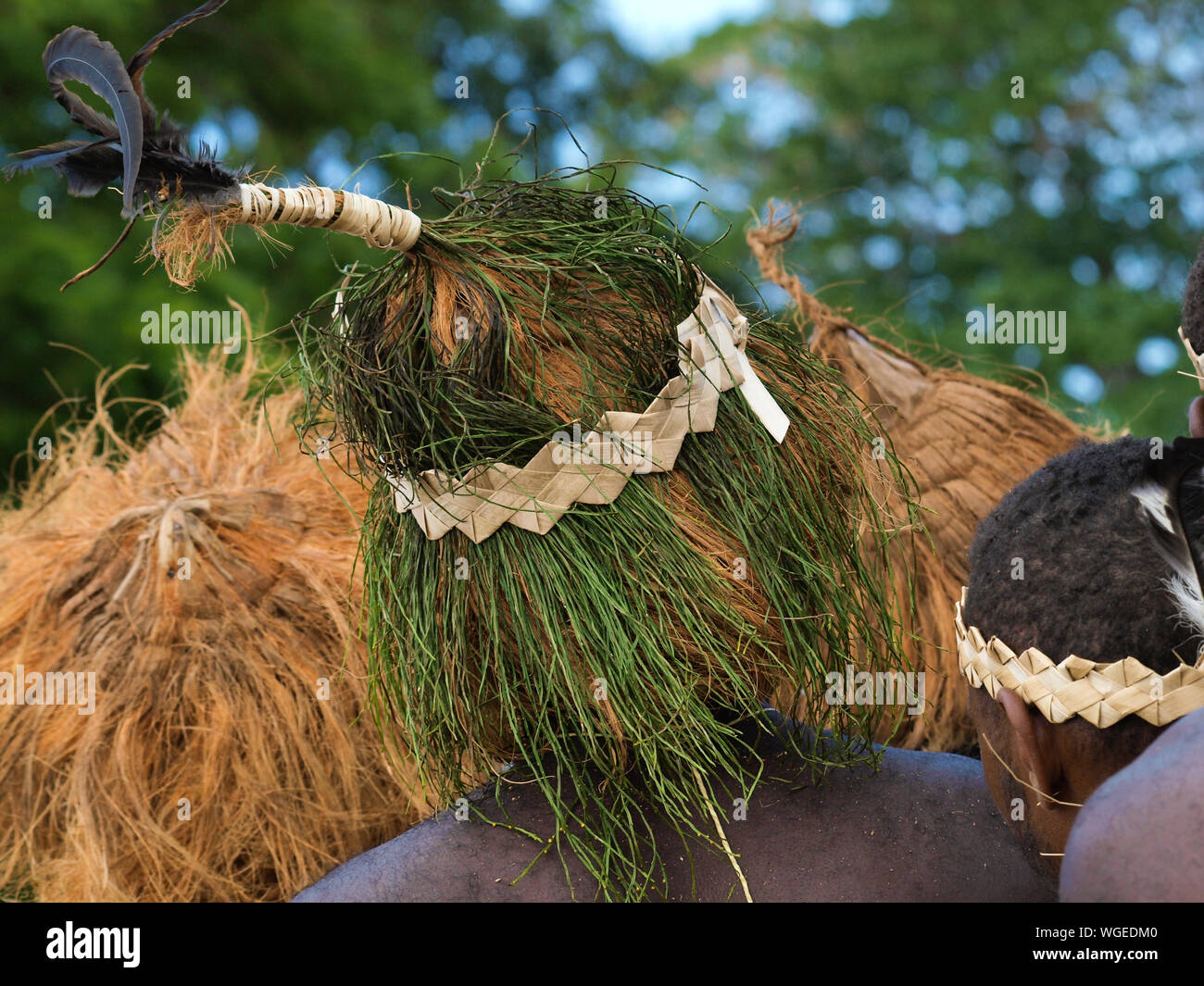 Vue arrière d'un homme portant chapeau traditionnel de Forest Banque D'Images