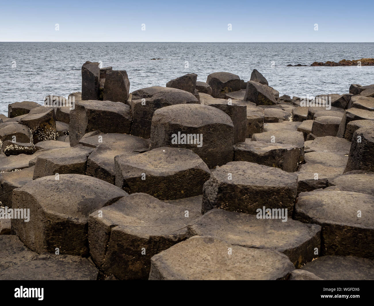 Giant's Causeway, l'Irlande du Nord, Royaume-Uni. Site naturel unique hexagonales et pentagonales formations géologiques de basalte volcanique roches, ressemblant à l'cobbleston Banque D'Images