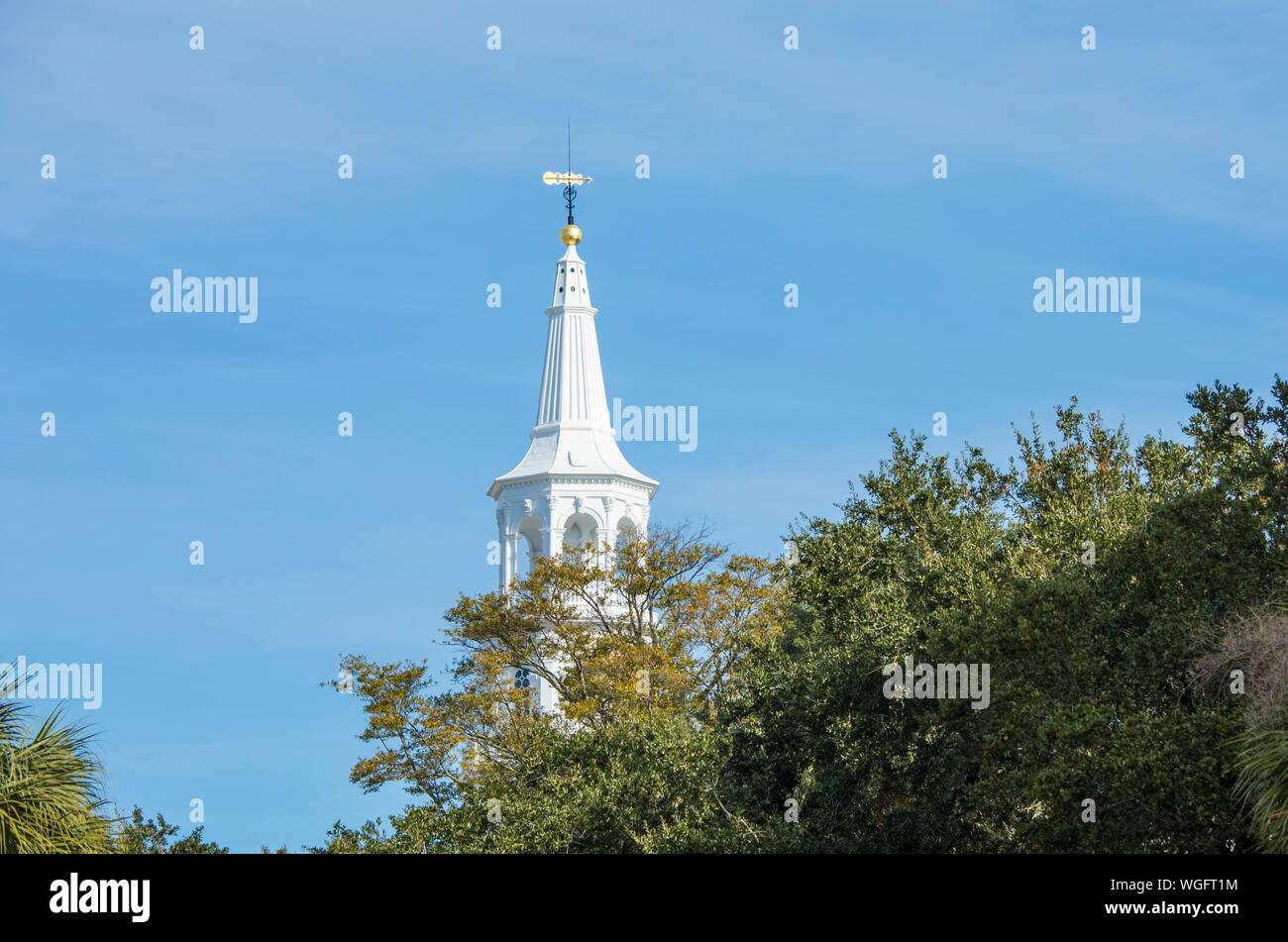 Clocher de l'église St Michaels sur les arbres dans le vieux Charleston, Caroline du Sud Banque D'Images Clocher de l'église St Michaels sur les arbres dans le vieux Charleston, Caroline du Sud Banque D'Images