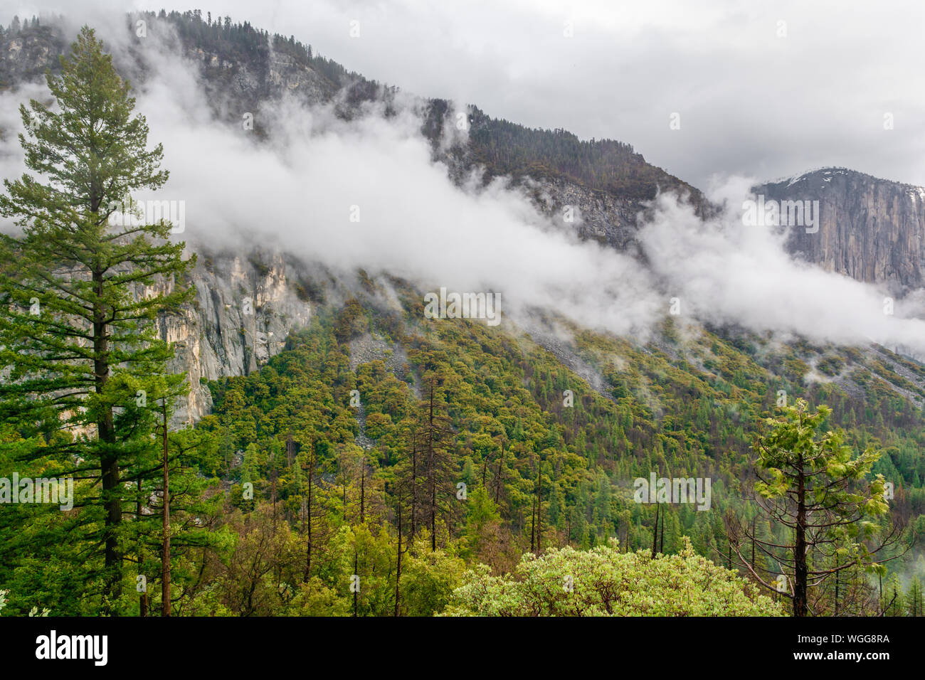 Paysage nuageux de Yosemite National Park, Californie. USA Banque D'Images