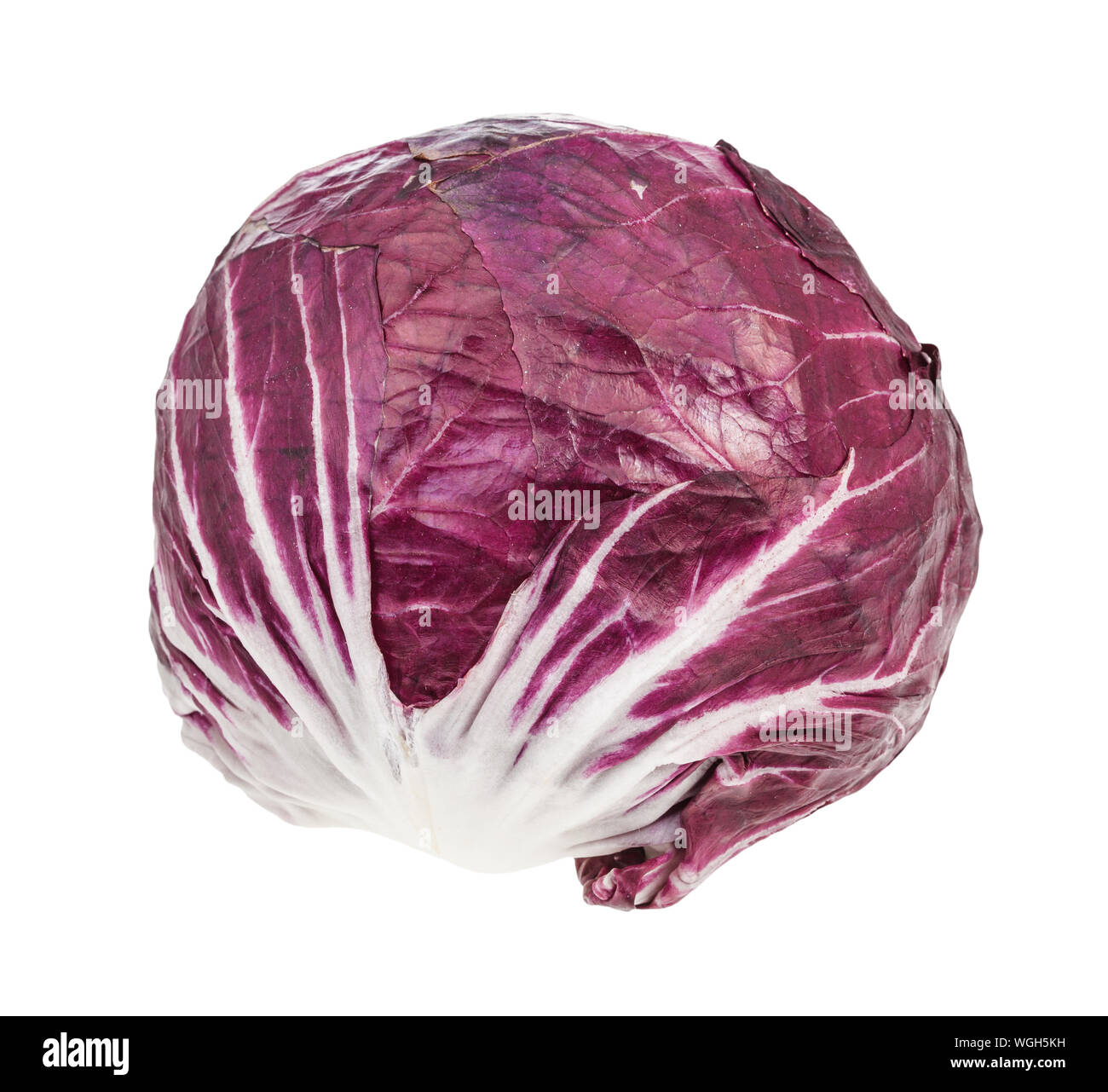 Tête de feuilles de radicchio (chicorée italienne) isolé sur fond blanc Banque D'Images