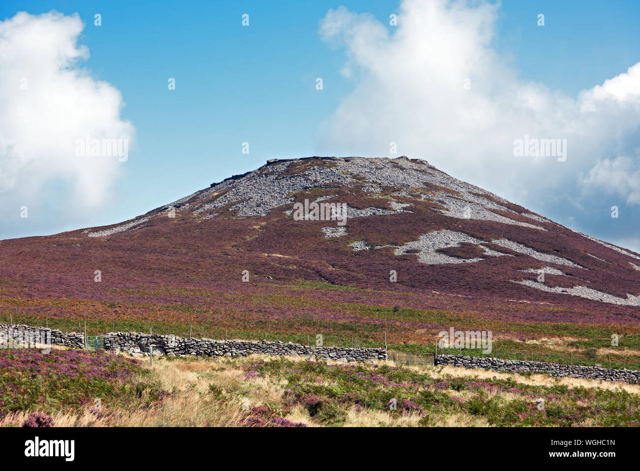 Tre'r Ceiri est un âge de fer qui remonte à environ 200 avant JC. Il est situé sur la côte nord de la péninsule de Llŷn dans le Nord du Pays de Galles. Banque D'Images