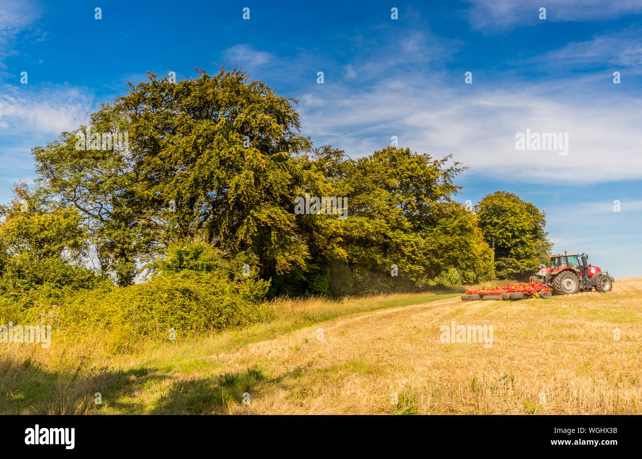 La récolte des cultures sur Halnaker Hill près de Chichester, West Sussex, UK Banque D'Images