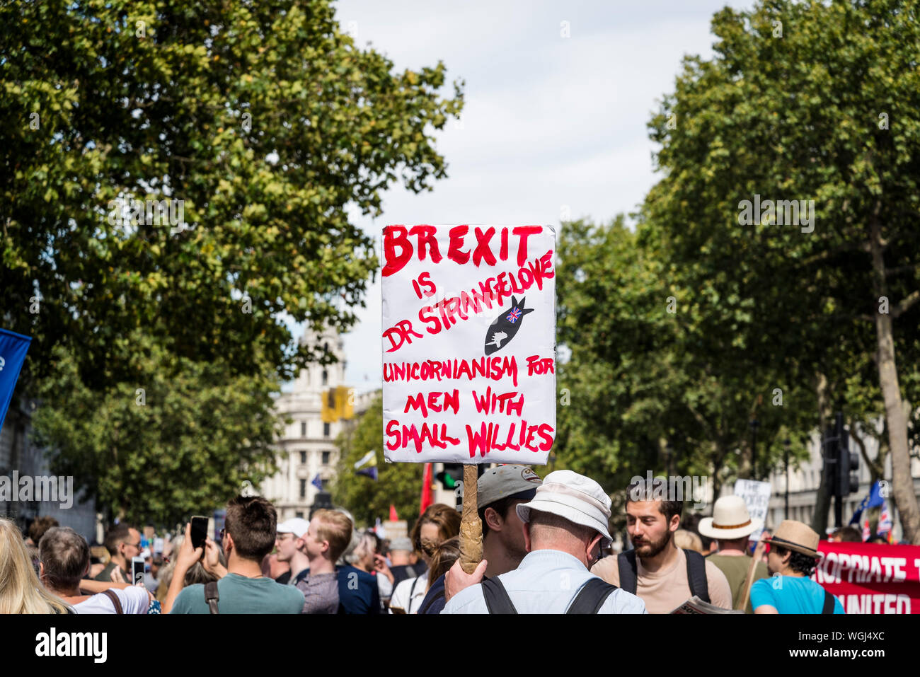 Protestation contre la suspension du Parlement, London, UK, 31/08/2019 Banque D'Images