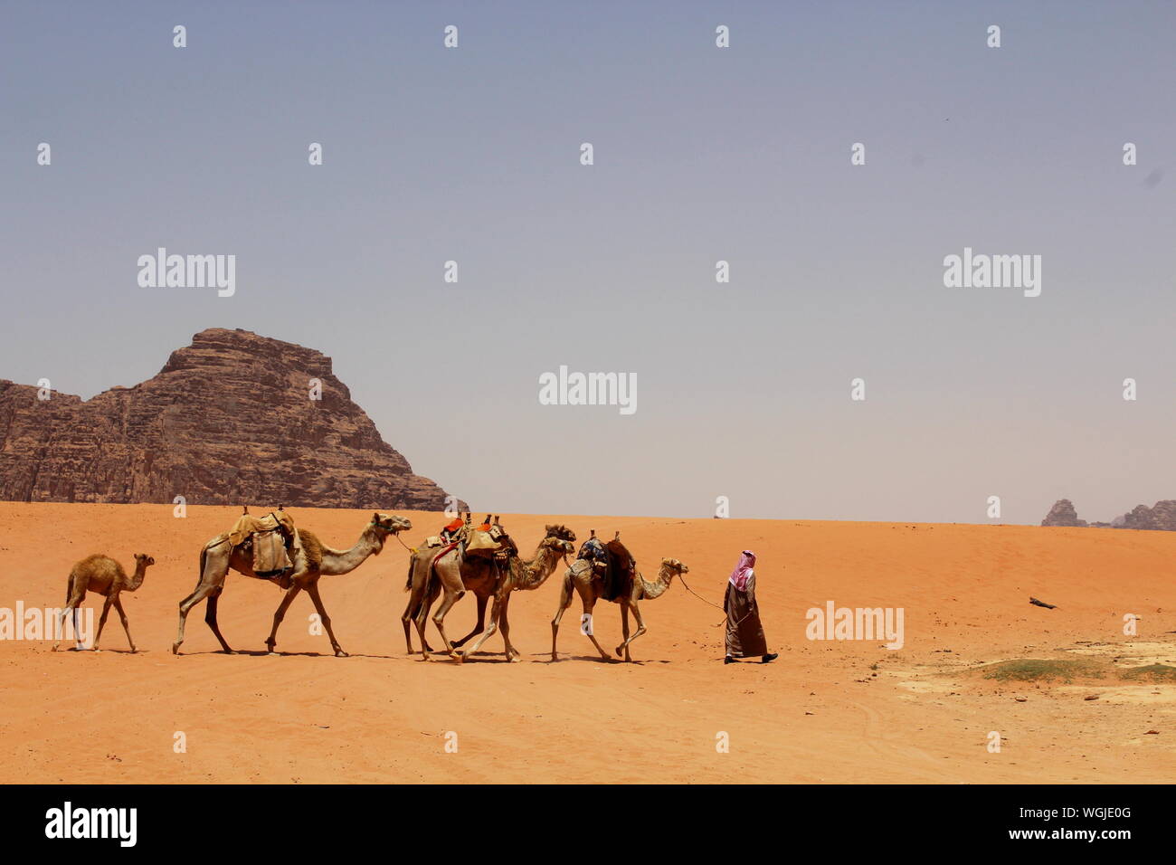 Désert de Wadi Rum en Jordanie, Oriente Medio Banque D'Images