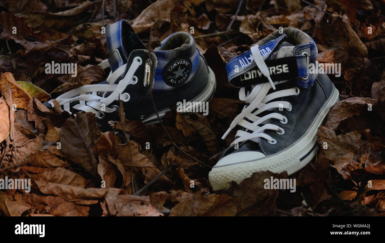 Converse All-star sneakers sur une des feuilles tombées à l'automne Banque D'Images
