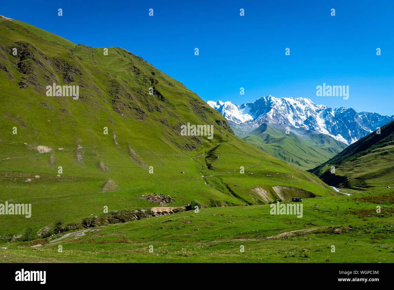 Paysage avec le mont Shkhara Ushguli dans l'arrière dans la région de Svaneti, Georgia. Banque D'Images