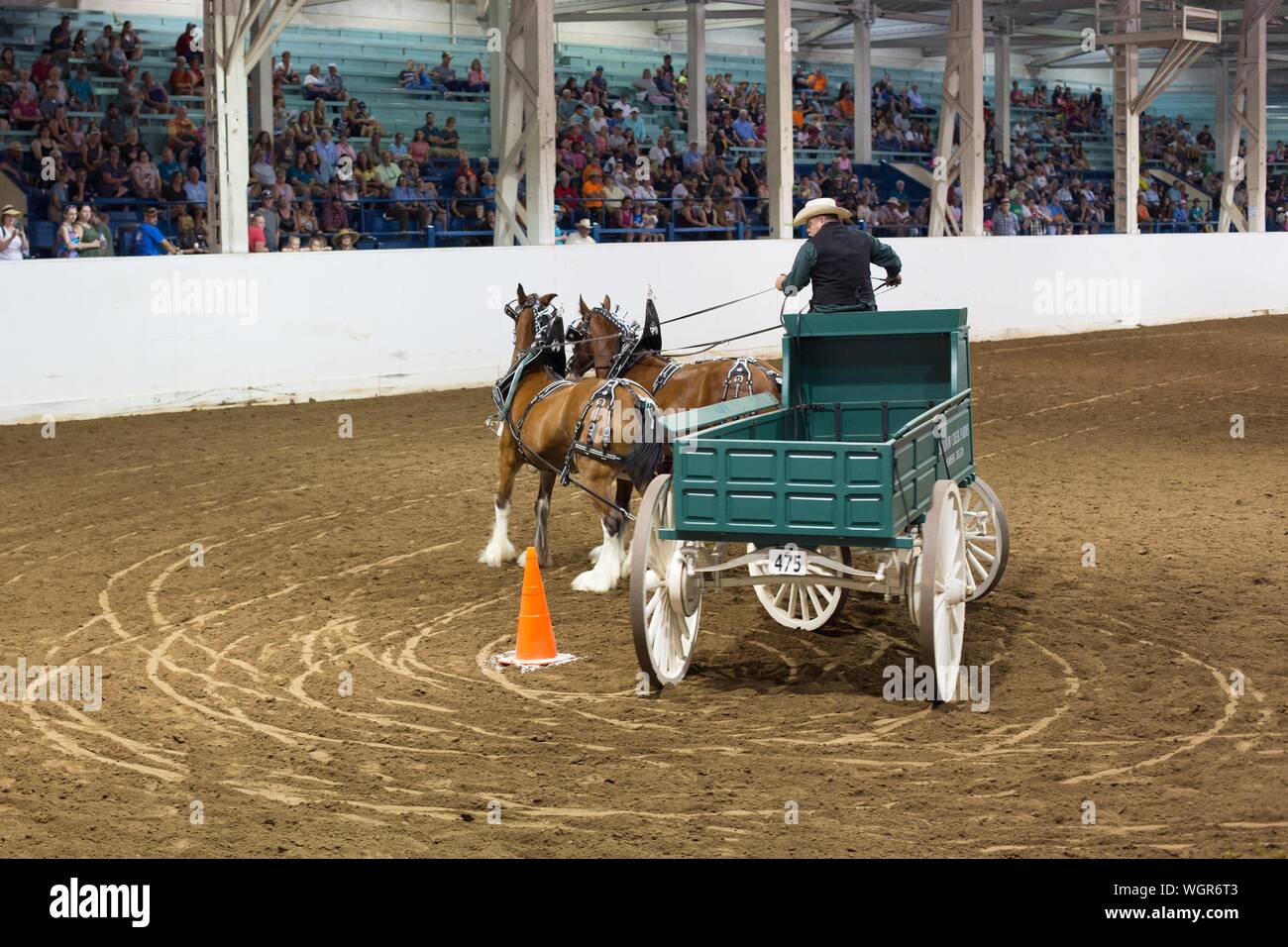 Un concurrent dans le projet de l'équipe d'ouvrir la concurrence au volant, à la foire de l'état de l'Oregon à Salem, Oregon, USA. Banque D'Images