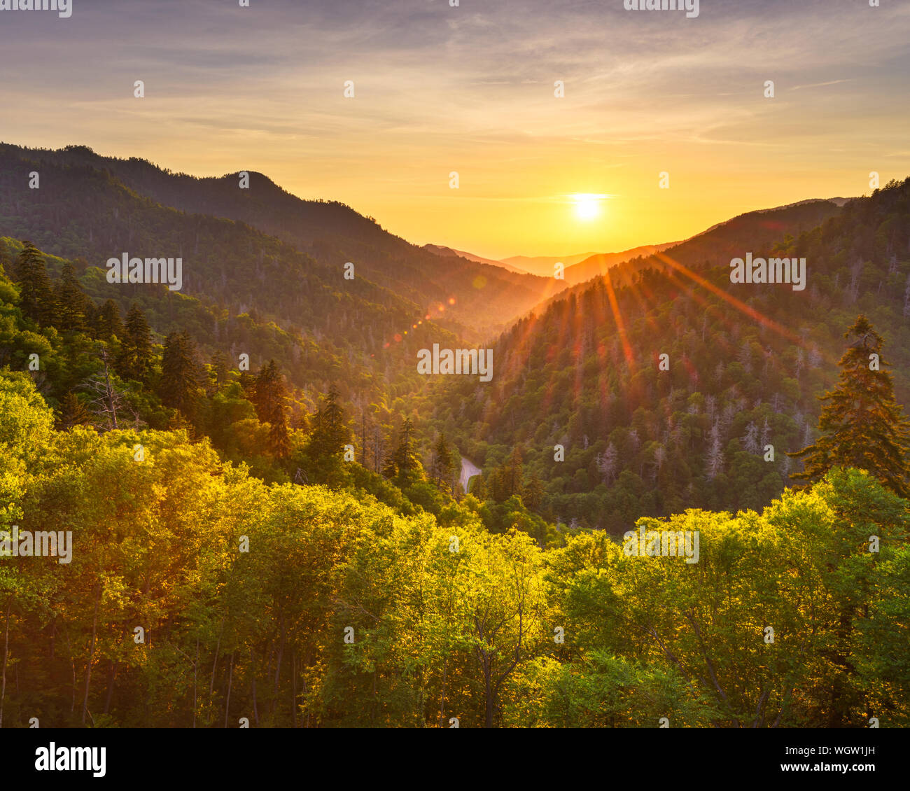 Coucher du soleil à la Newfound Gap dans les Great Smoky Mountains. Banque D'Images